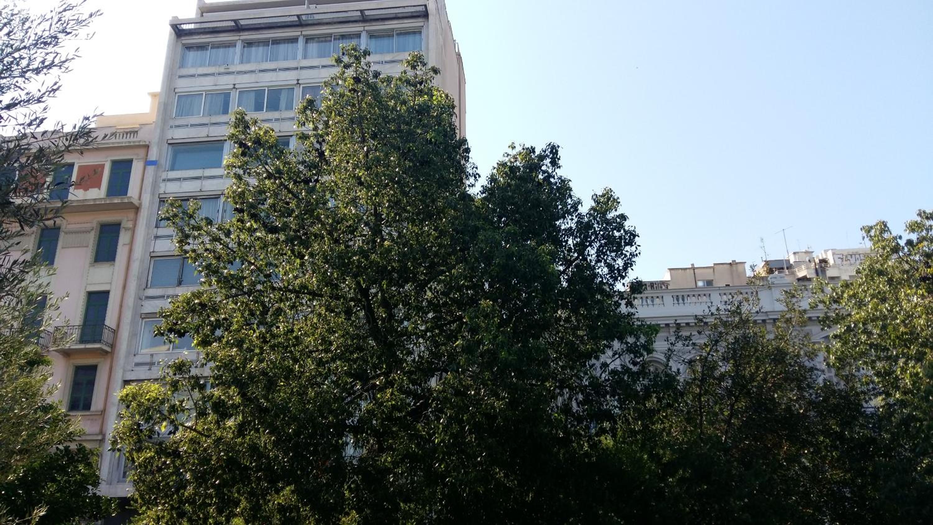 Athens Center Panoramic Flats