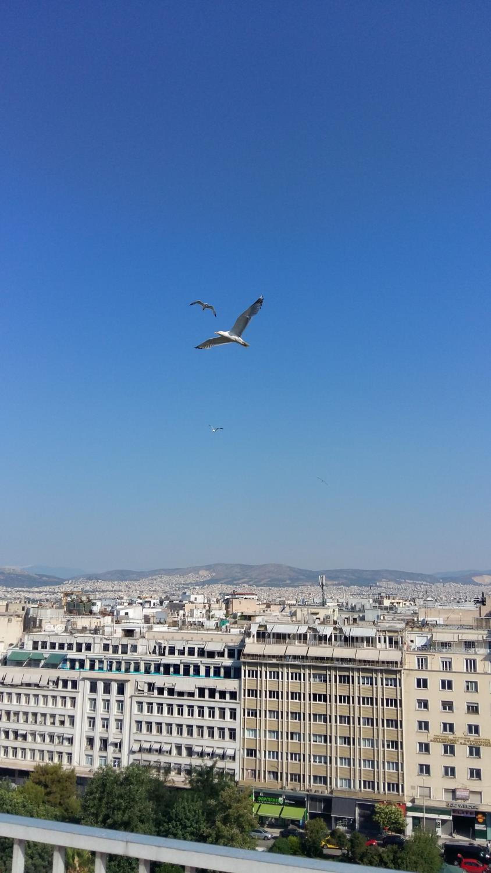 Athens Center Panoramic Flats