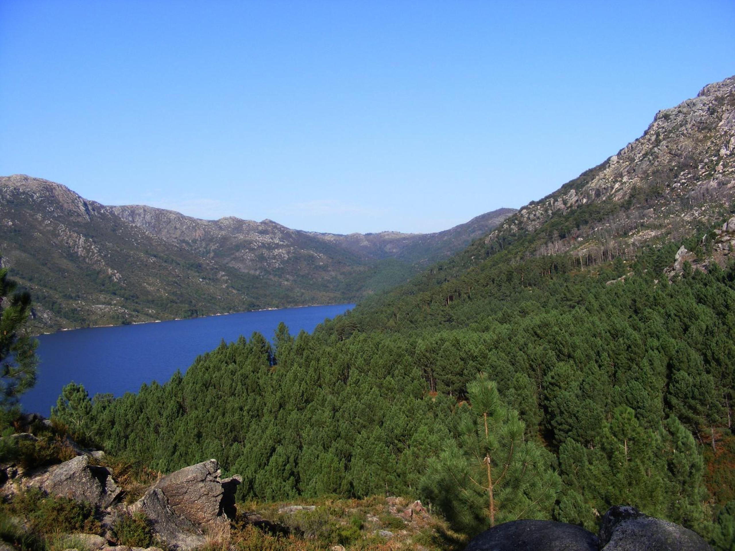 Photo 40