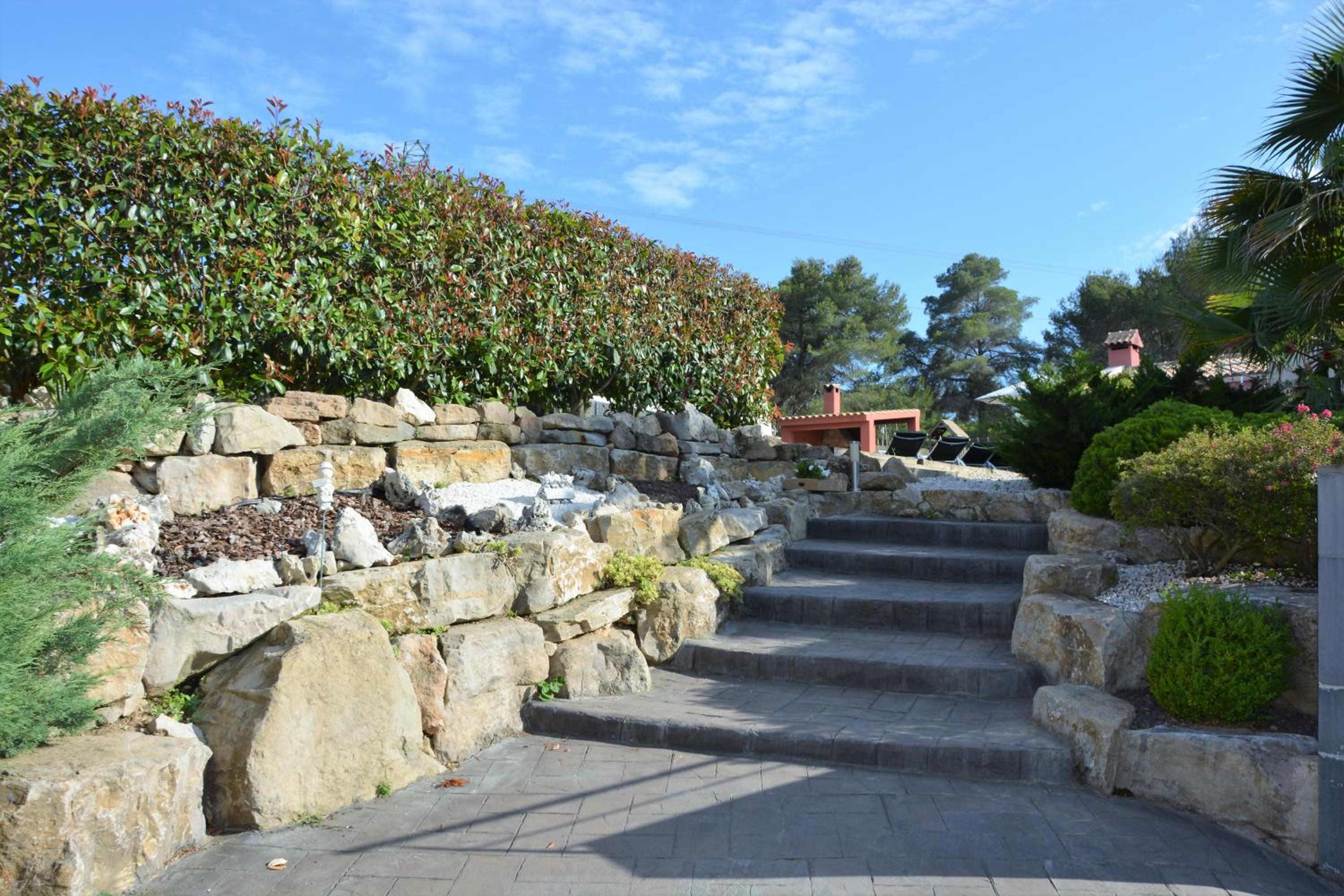 Photo 12