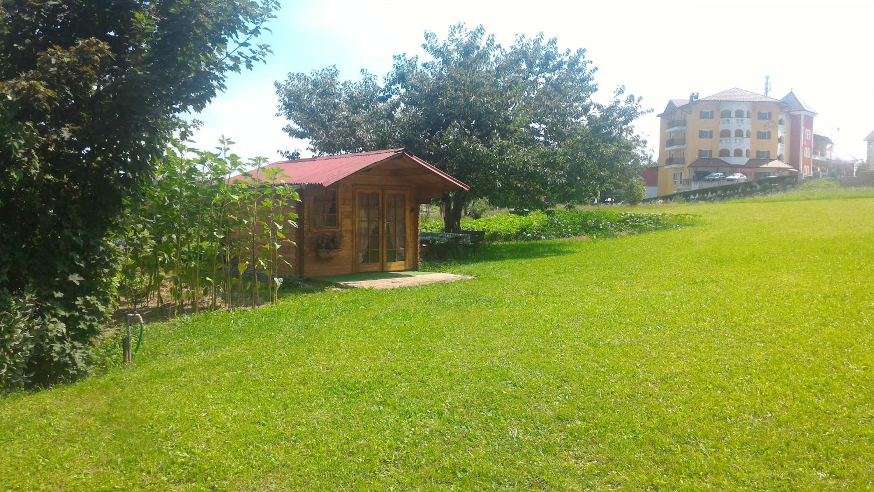 Photo 18