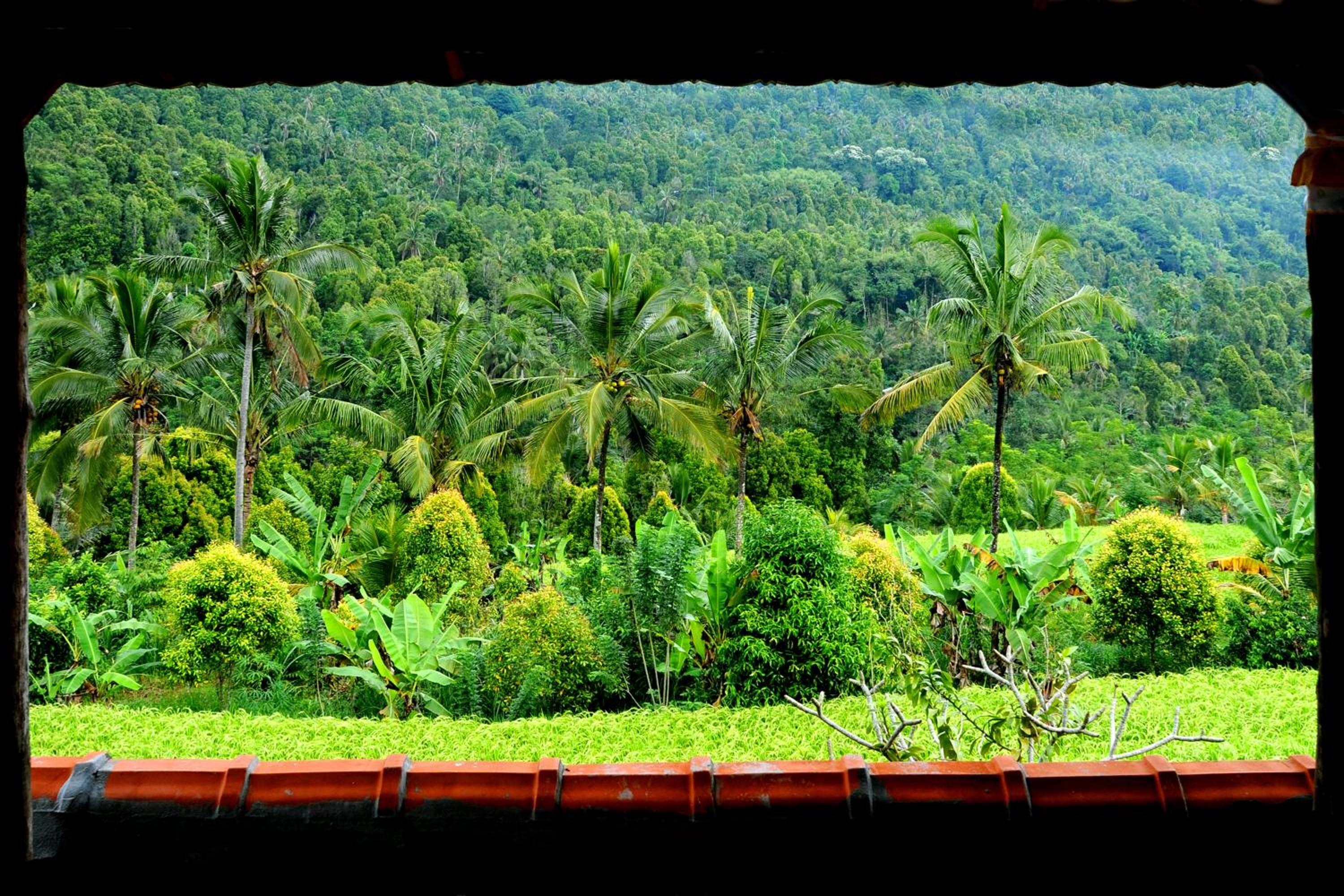 Gangga Homestay view 2