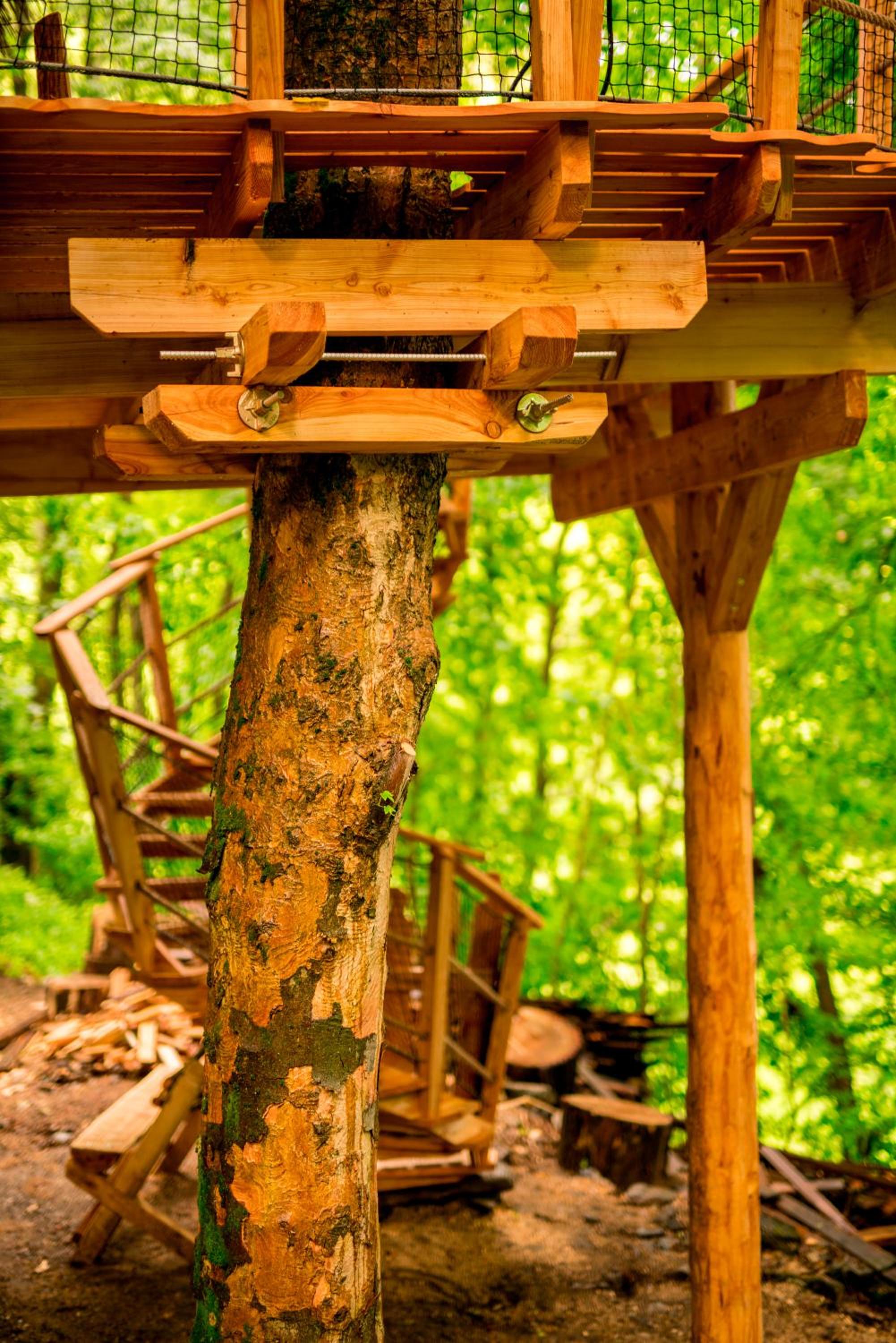 Treehouse pod Jestedem view 5