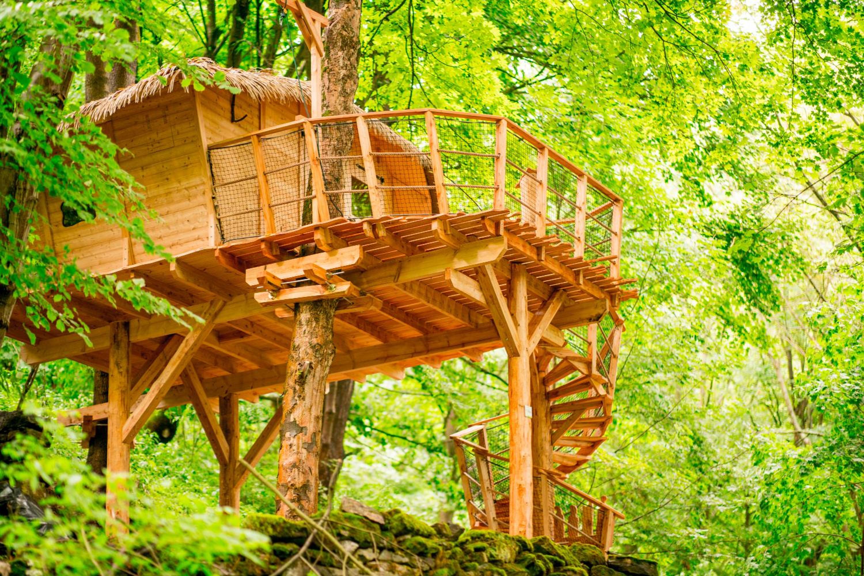 Treehouse pod Jestedem view 2
