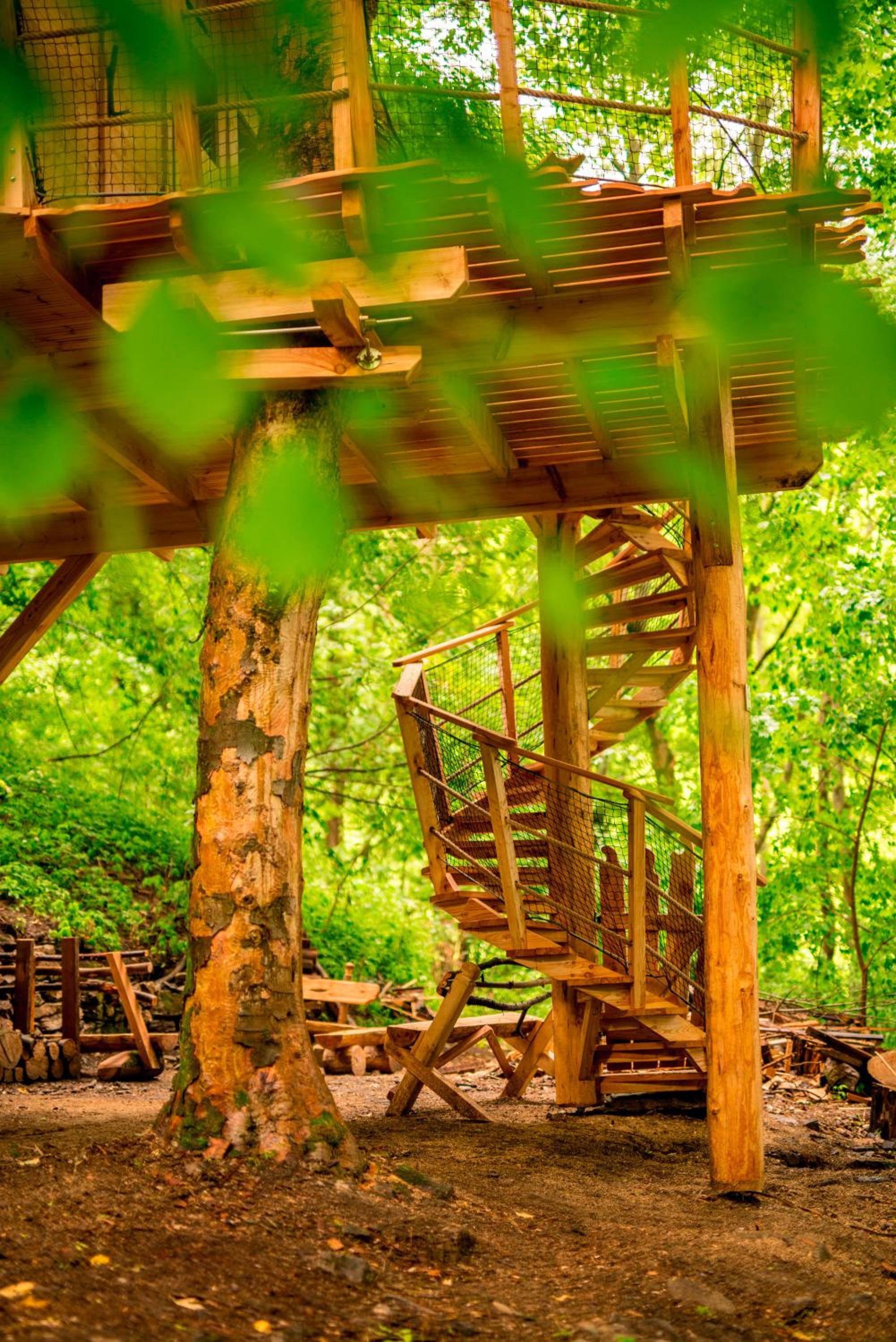 Treehouse pod Jestedem view 3