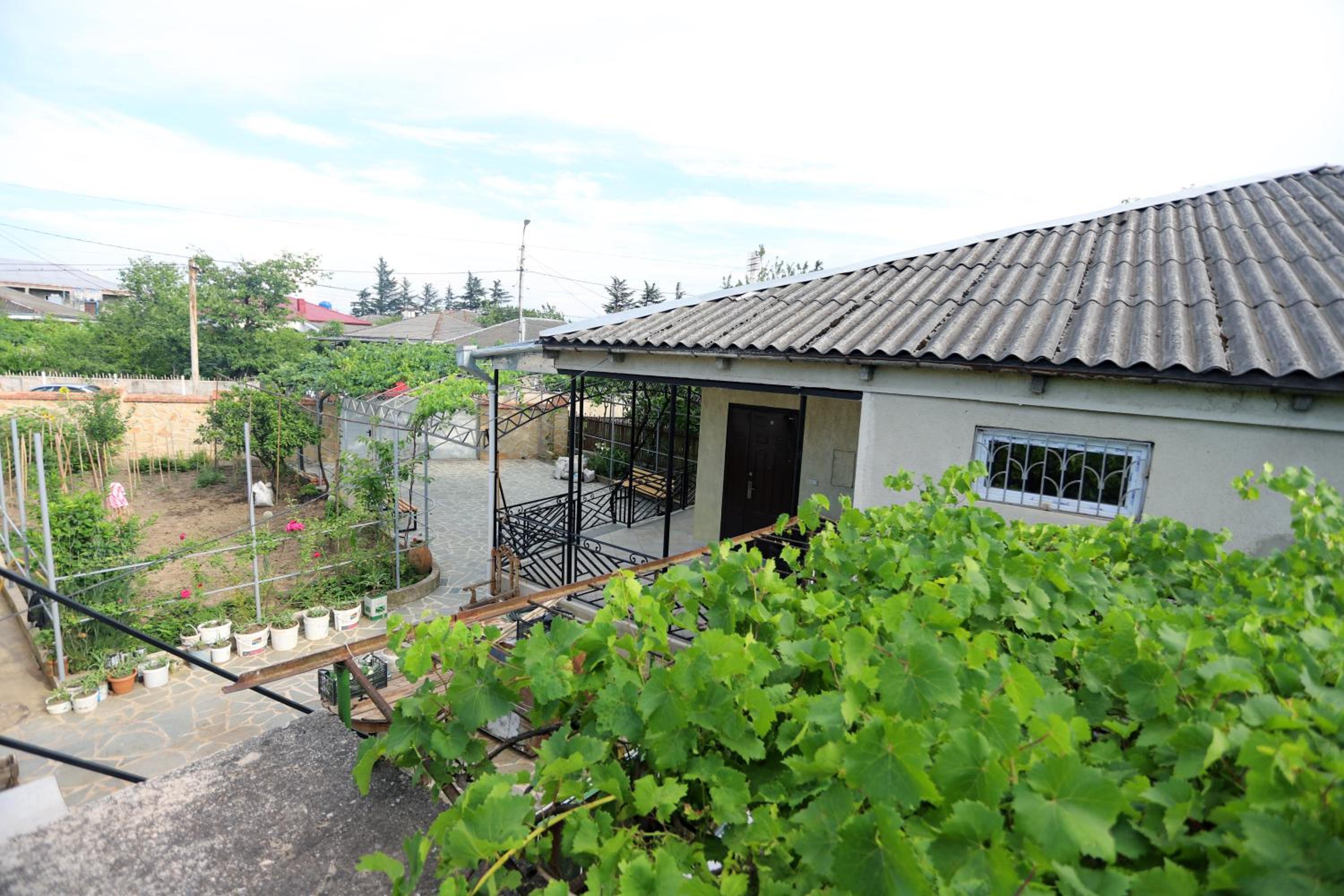Papazo view 4