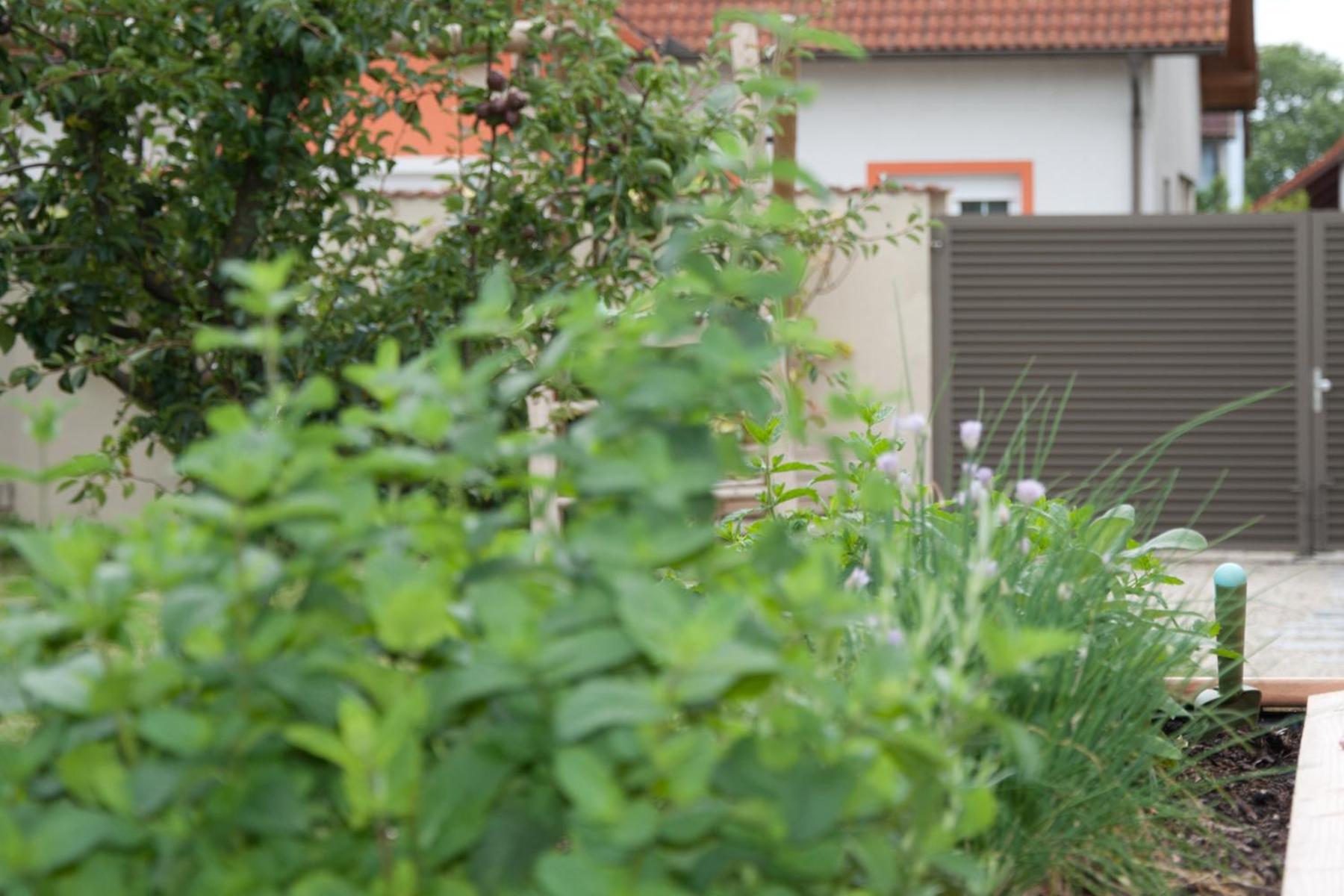Sabines Apartments Ferienwohnungen