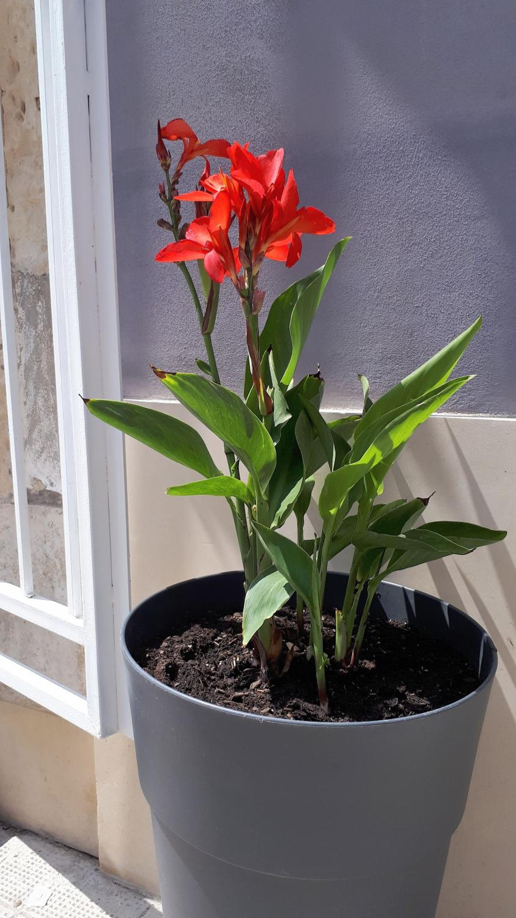 Photo 29