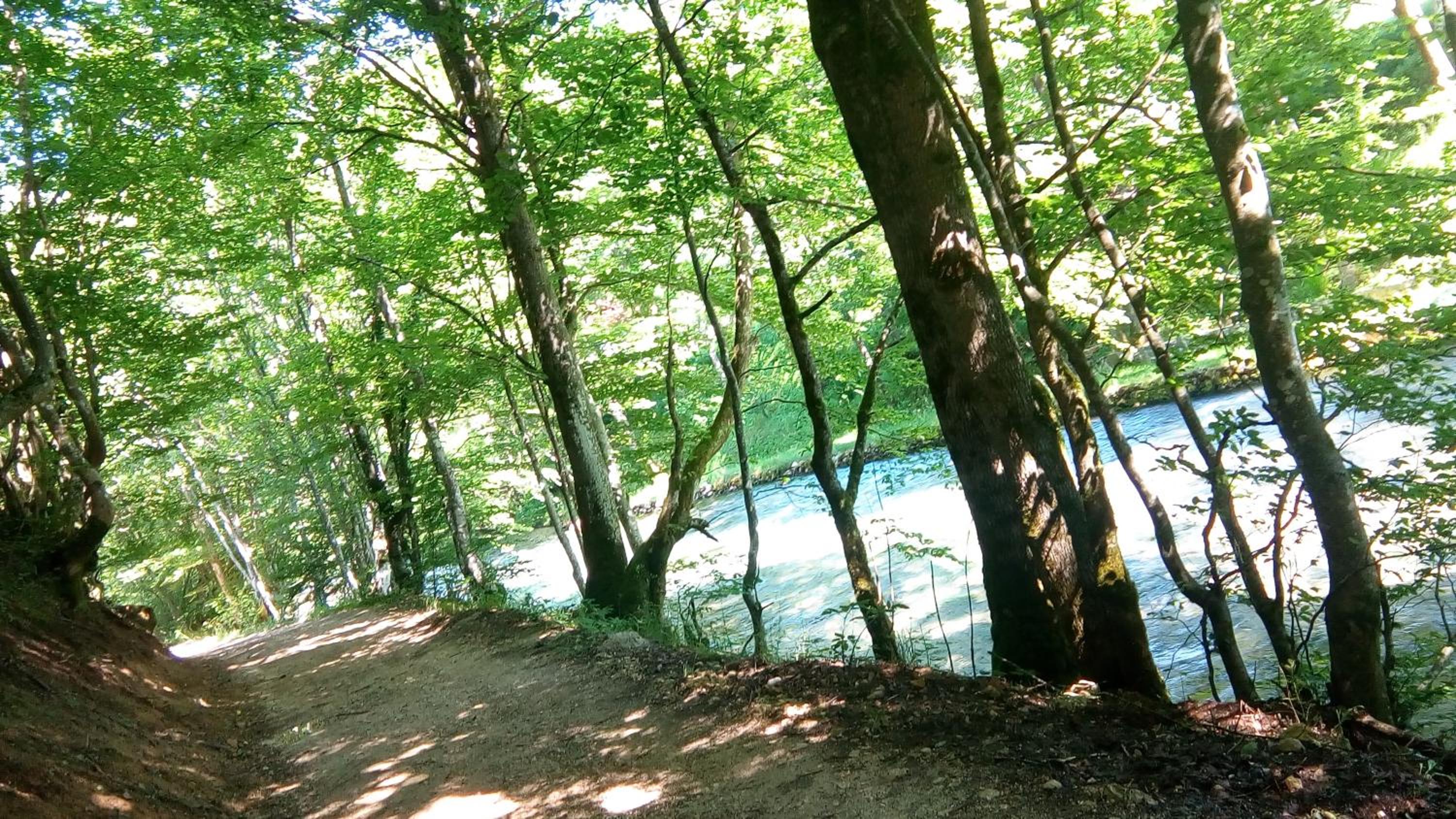 Photo 40