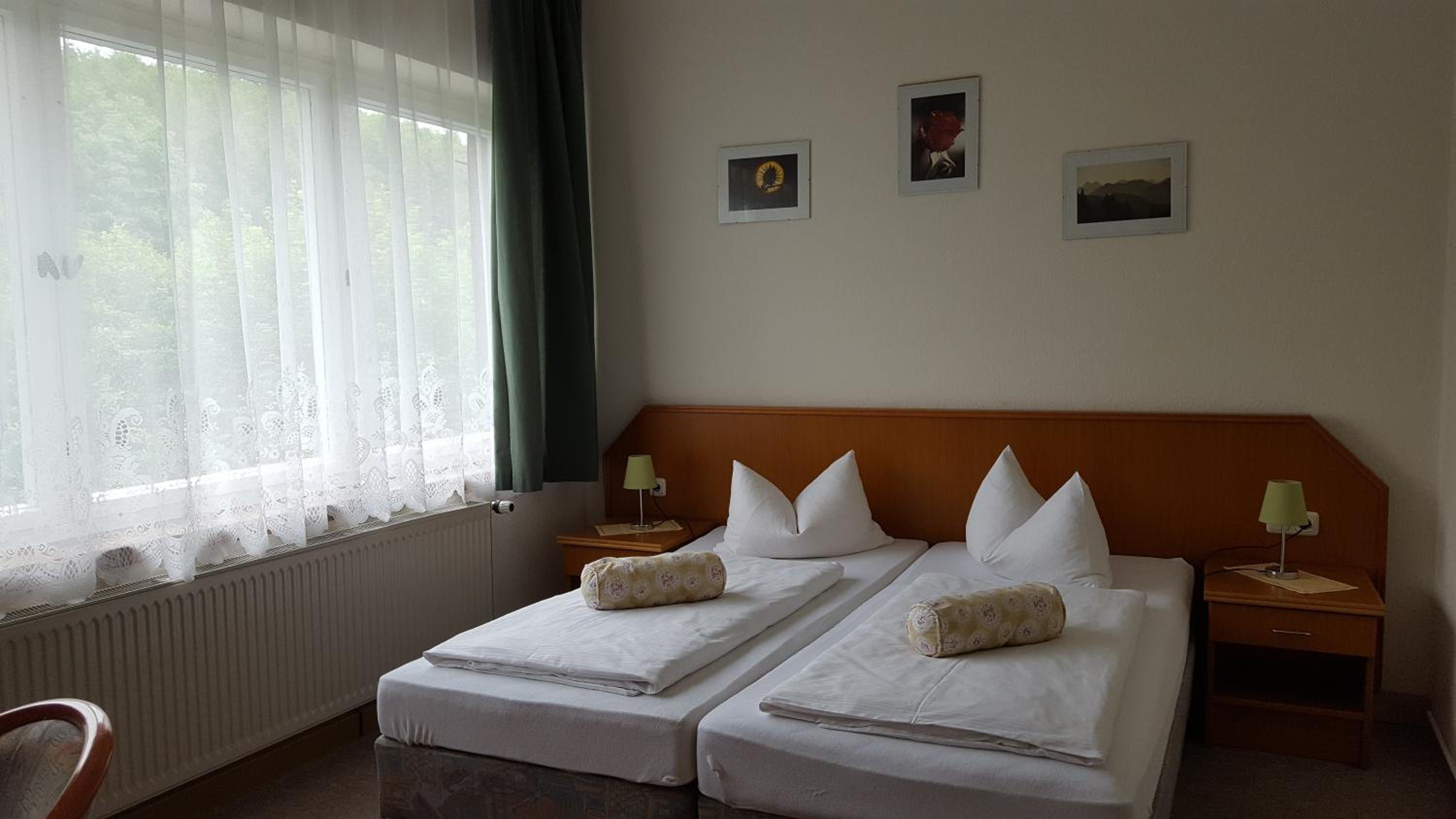 Pension Waldfrieden view 5