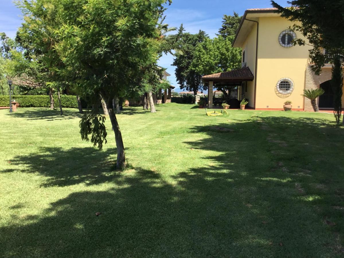 Photo 28