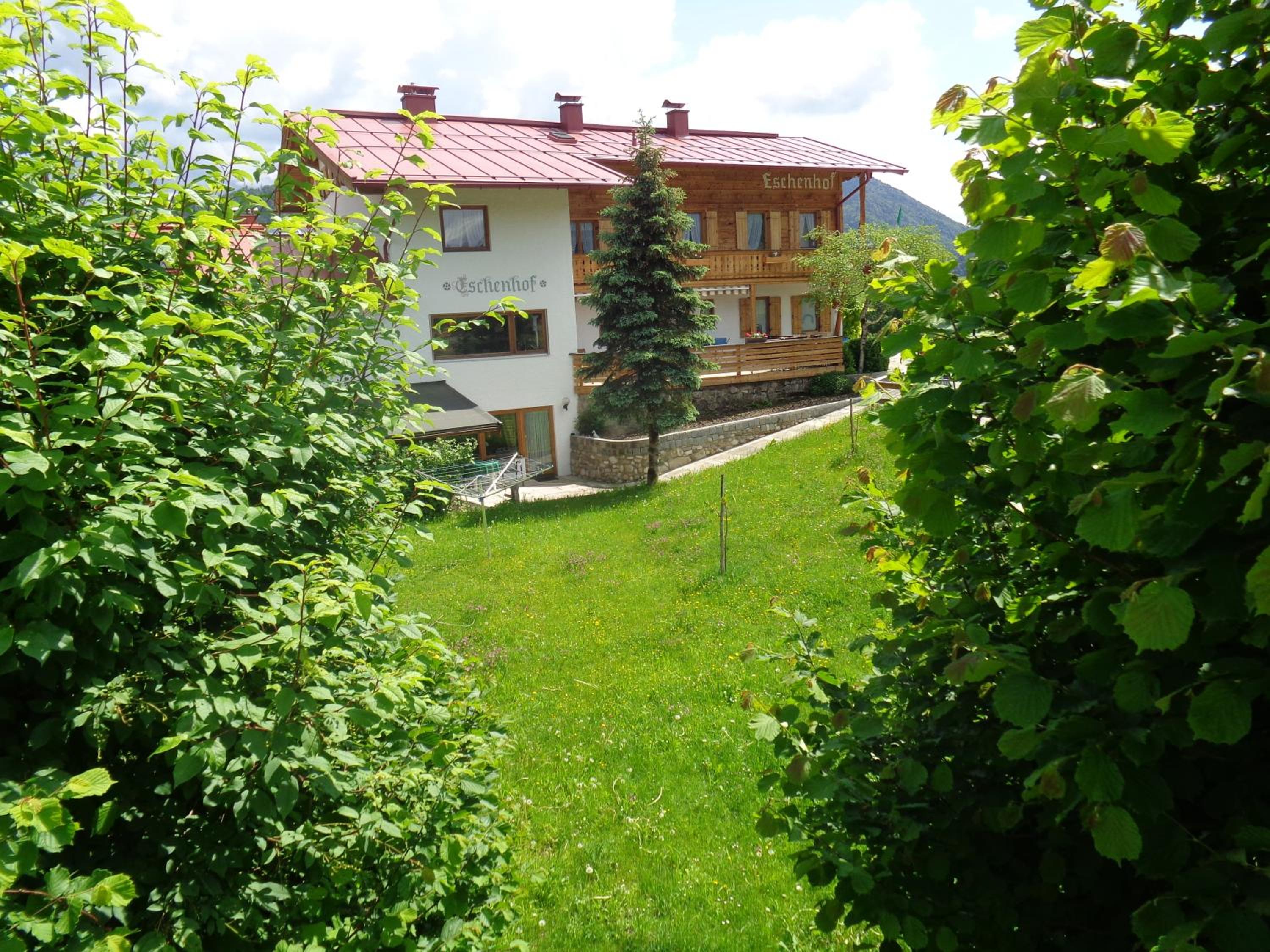 Photo 38