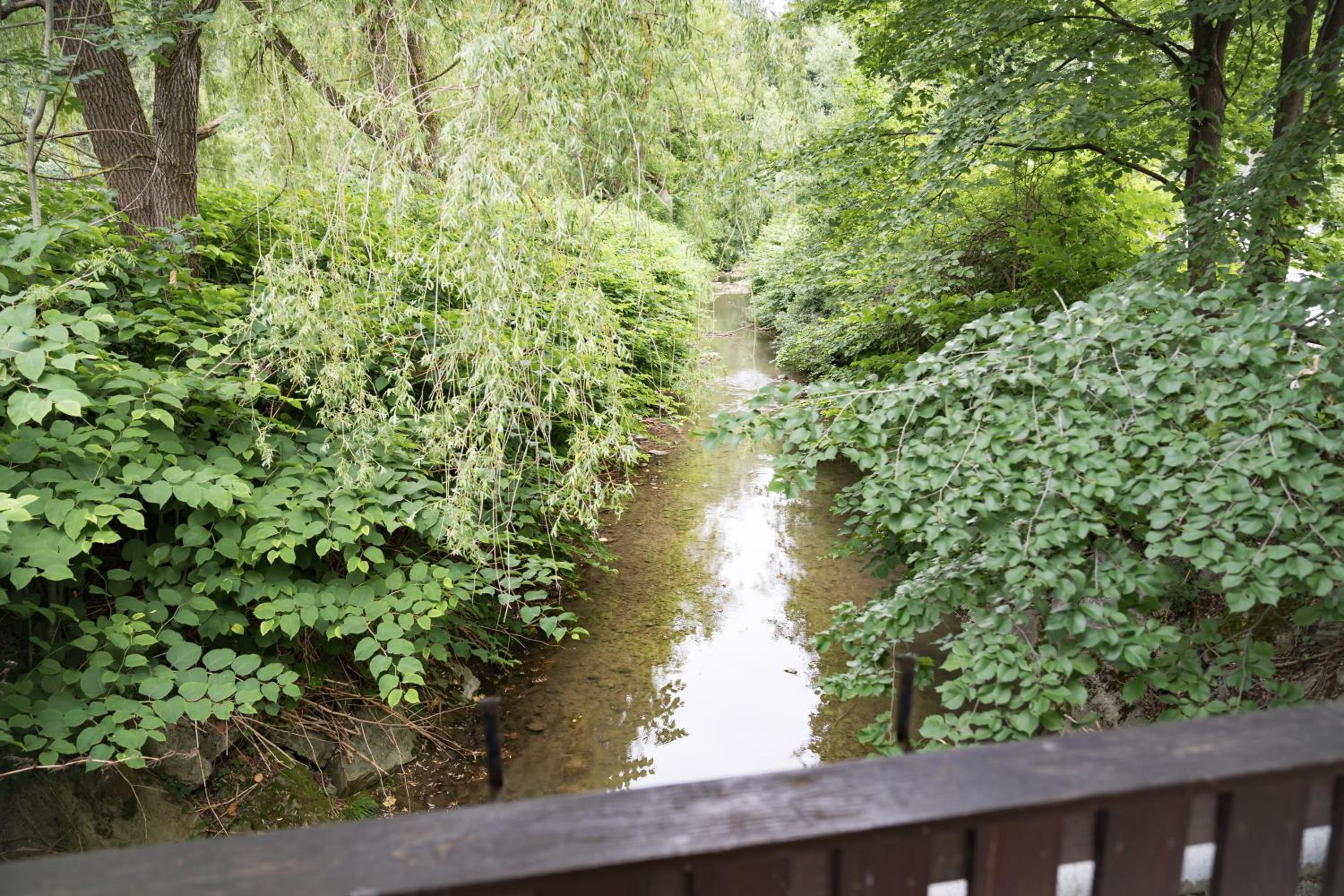 Photo 41