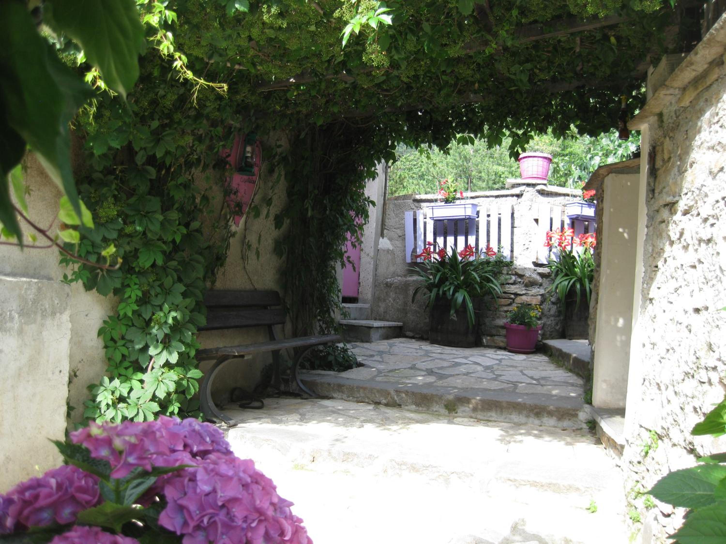 Photo 27