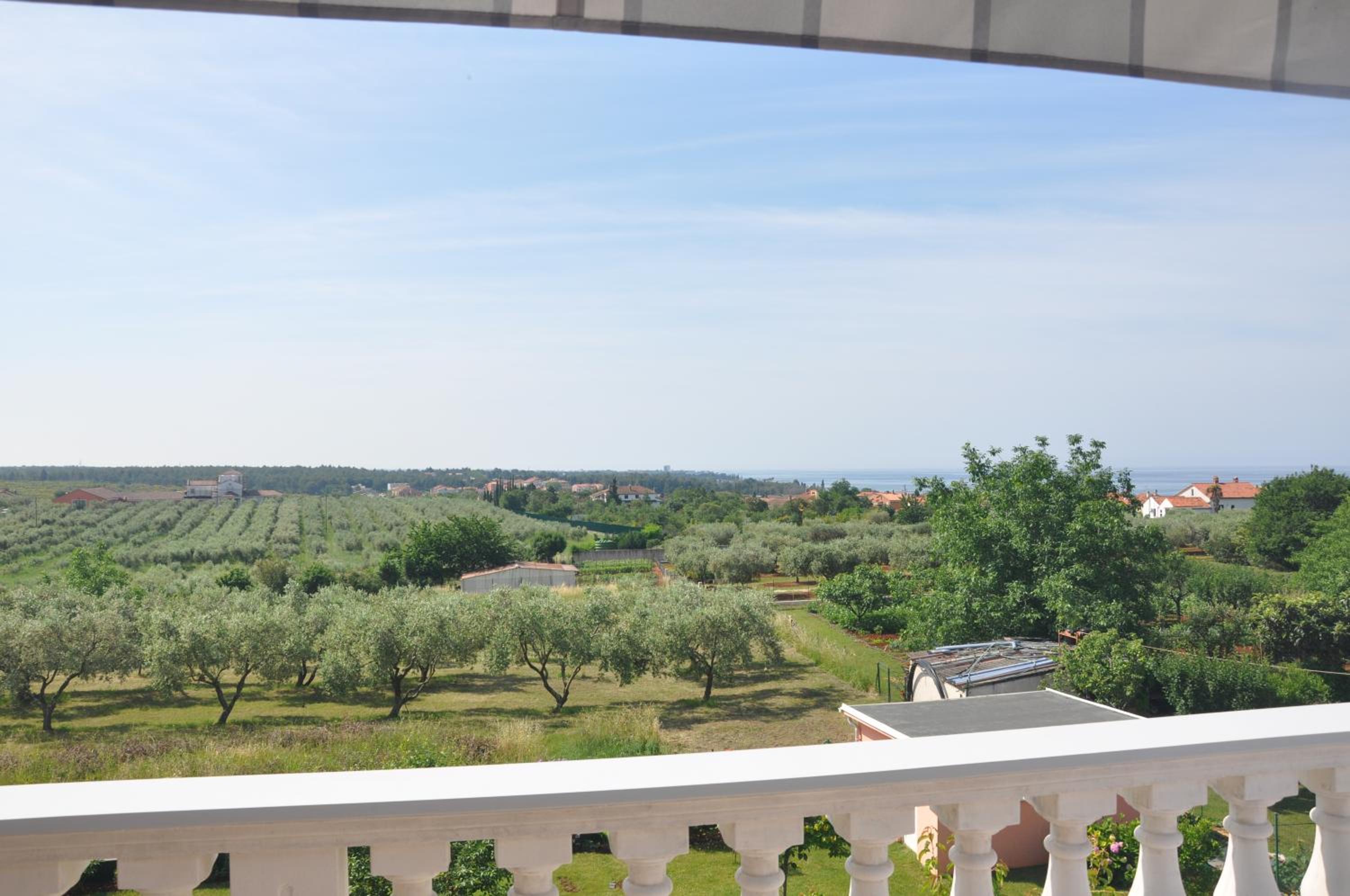 Apartments Rosa