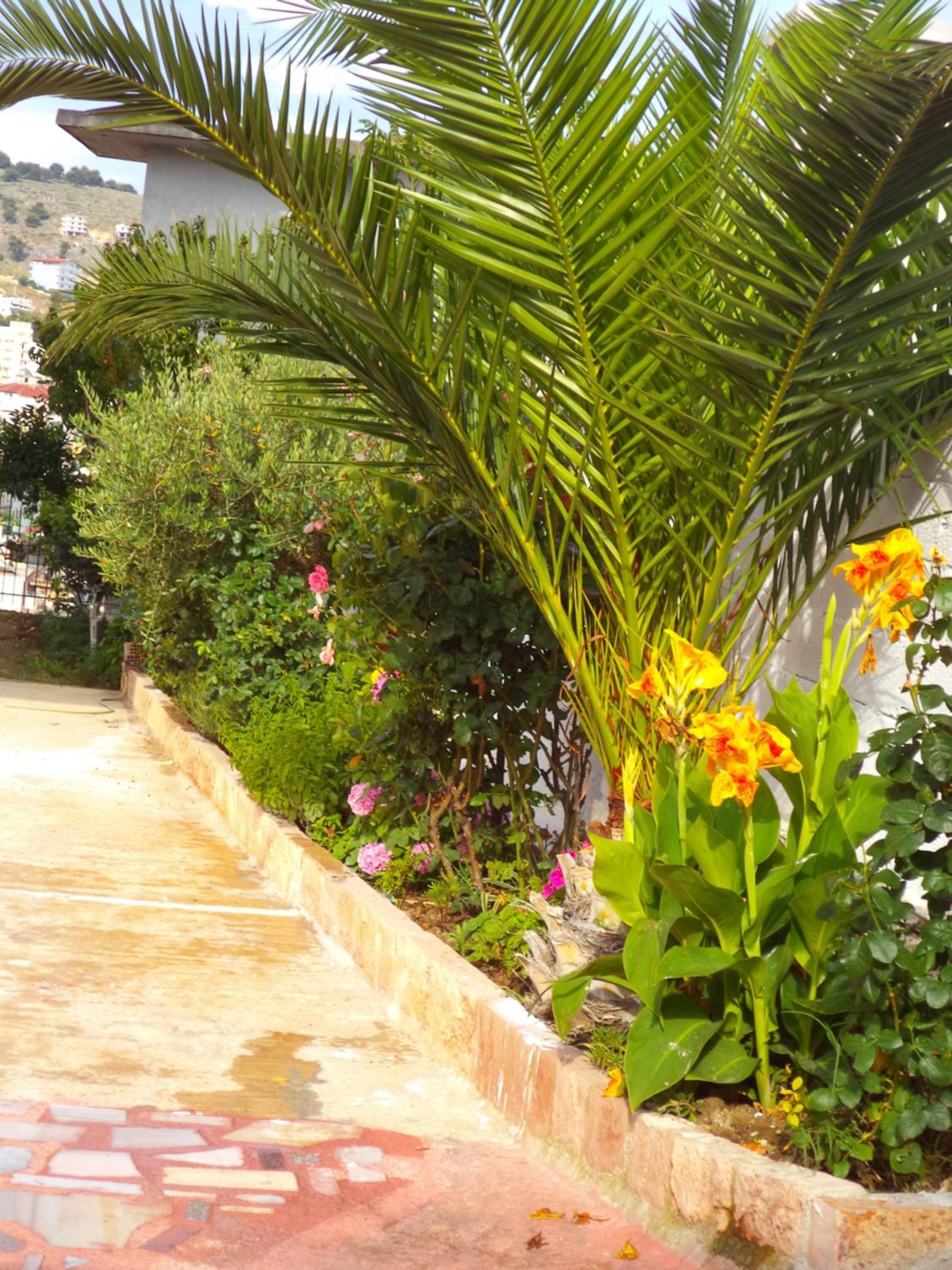 Mariana Apartments
