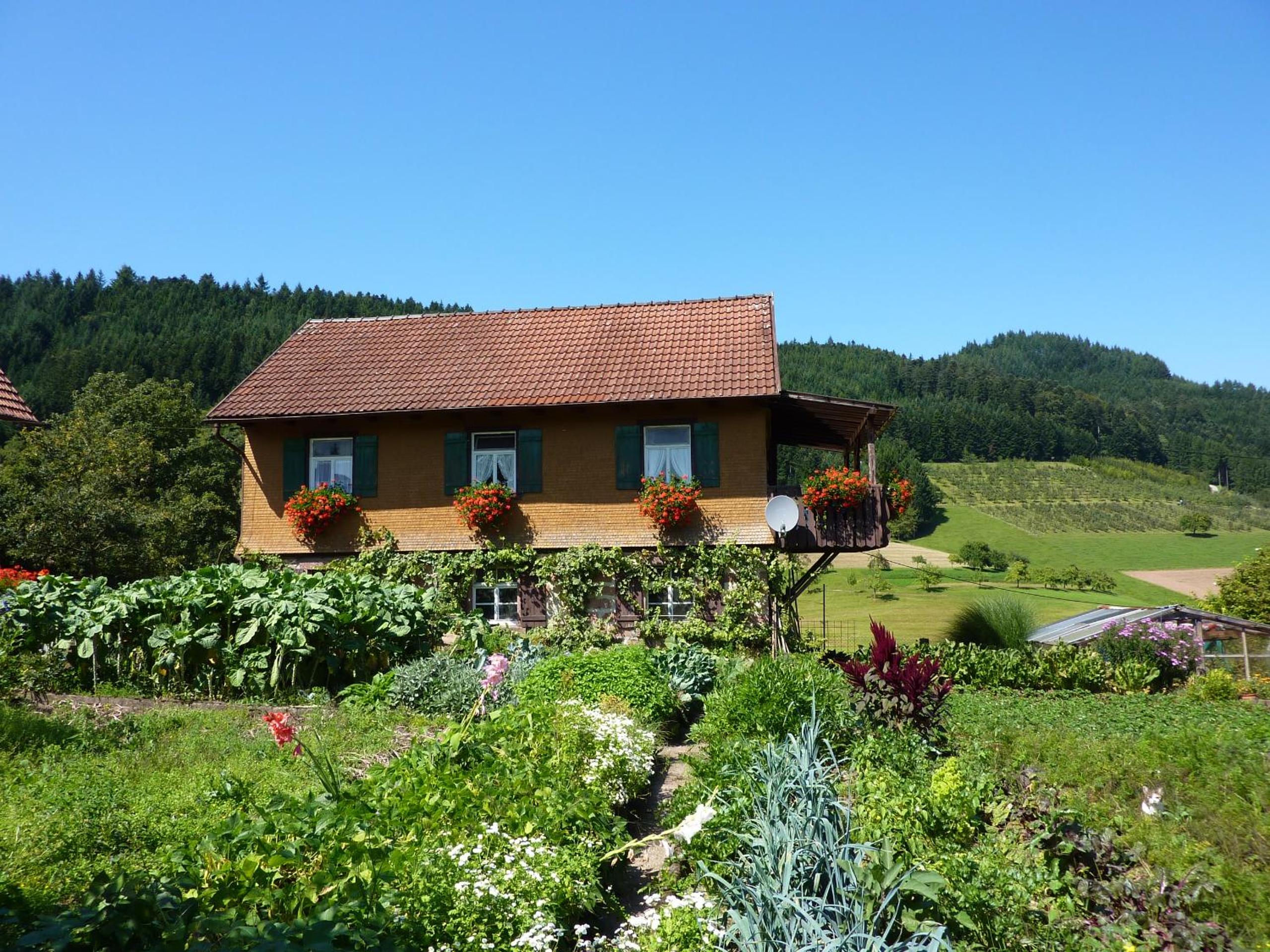 Ferienhaus Eck view 5