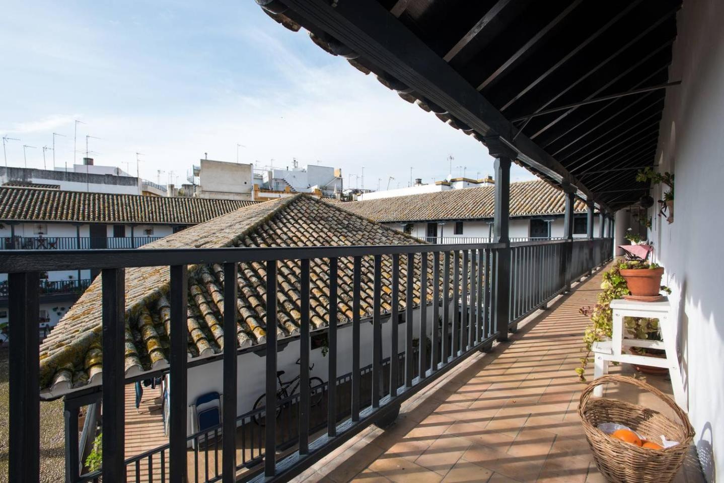 Andalusian Courtyard