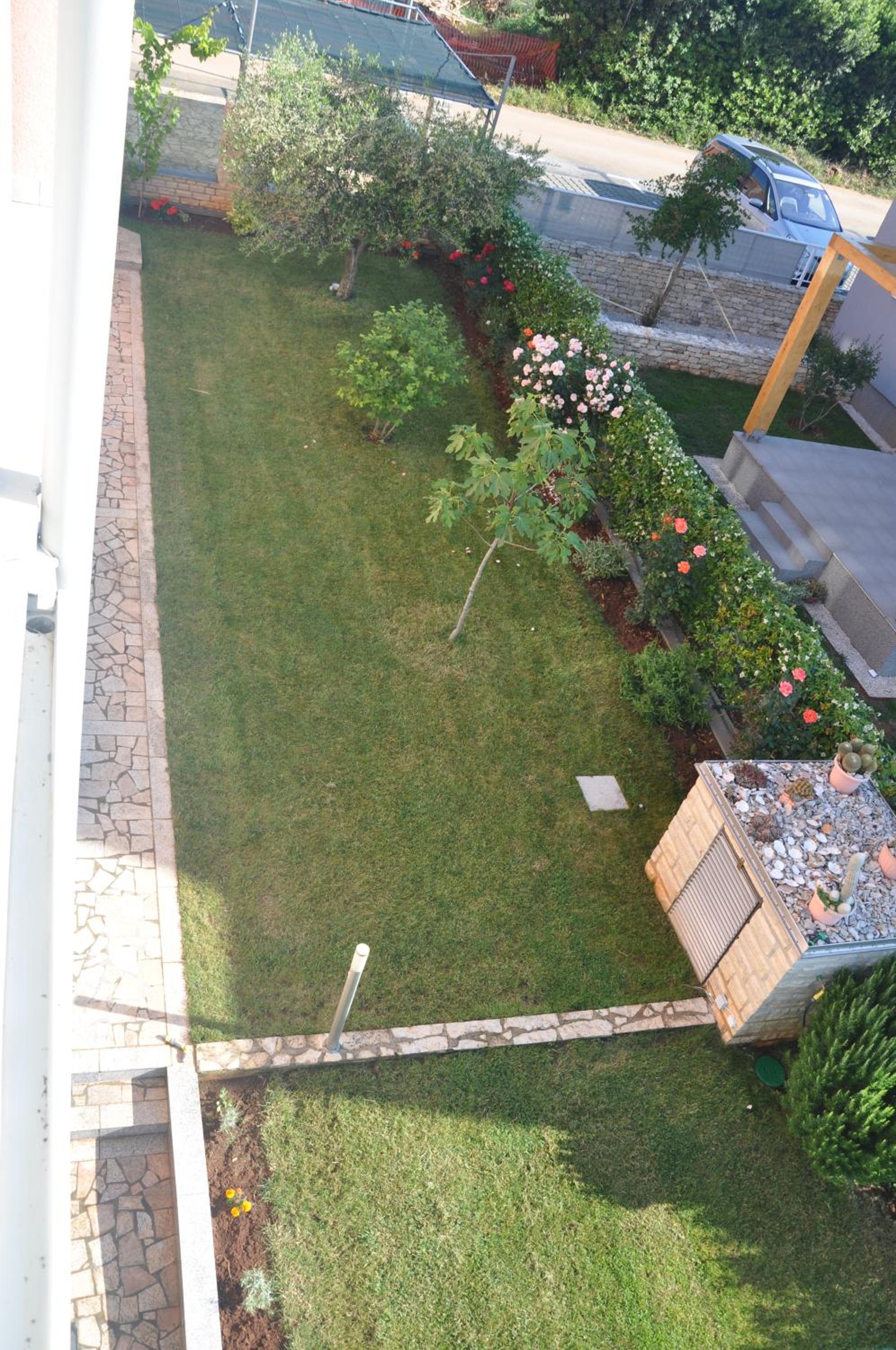 Apartments Rosa