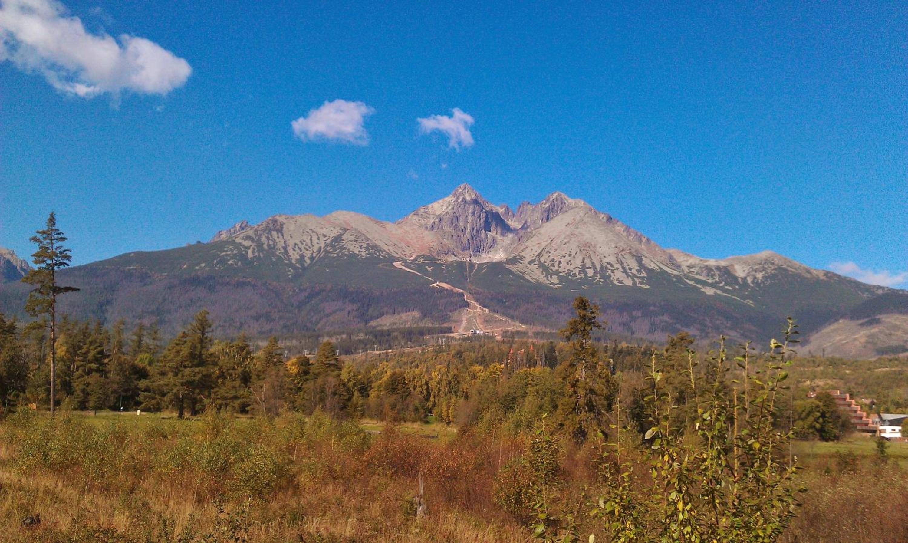 Photo 28