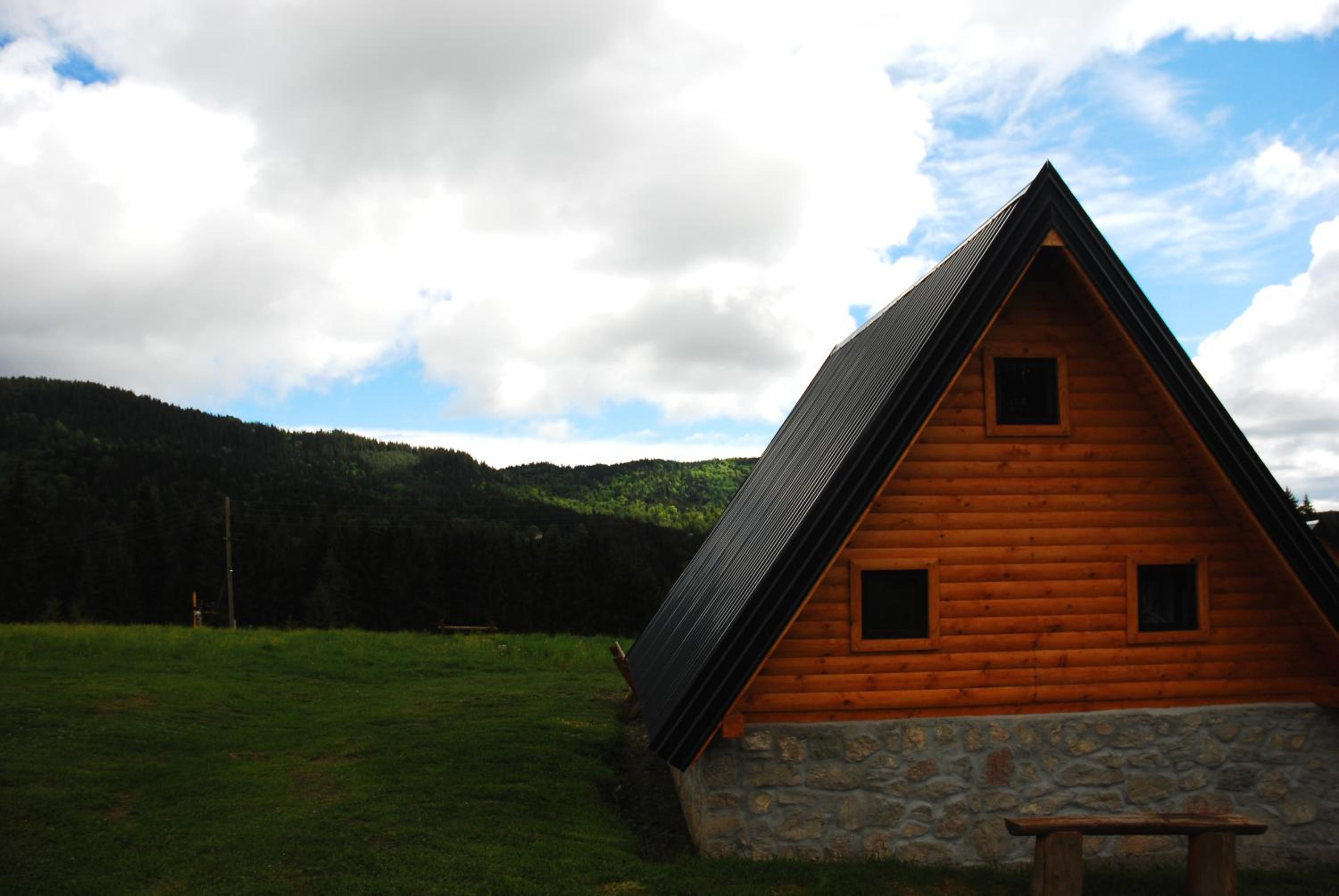 Photo 46