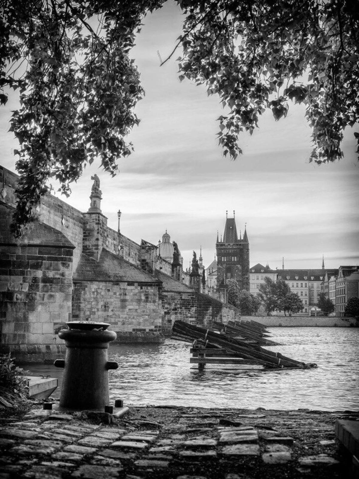 ART Garden Towers Prague