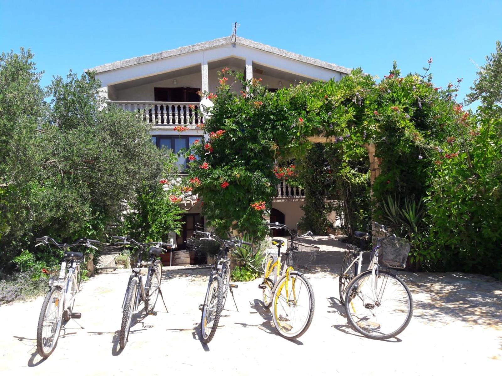 Apartments Marinka