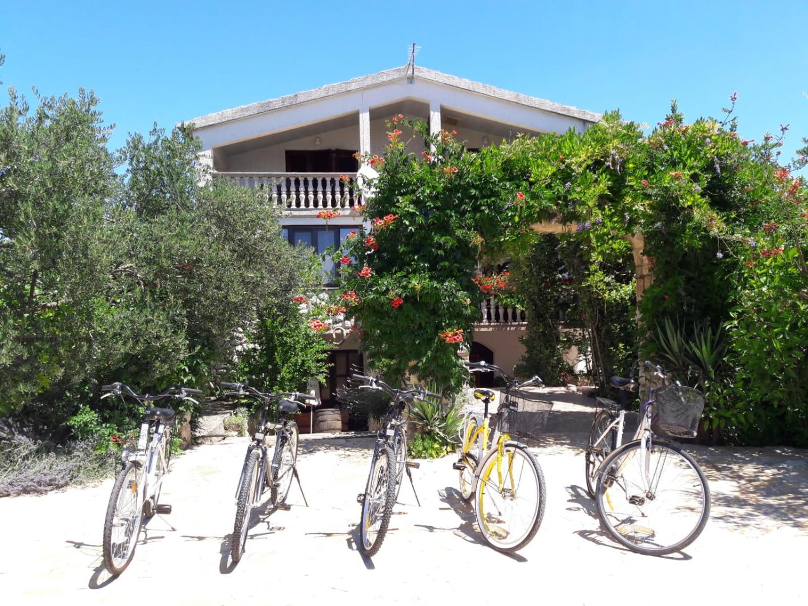 Apartments Marinka