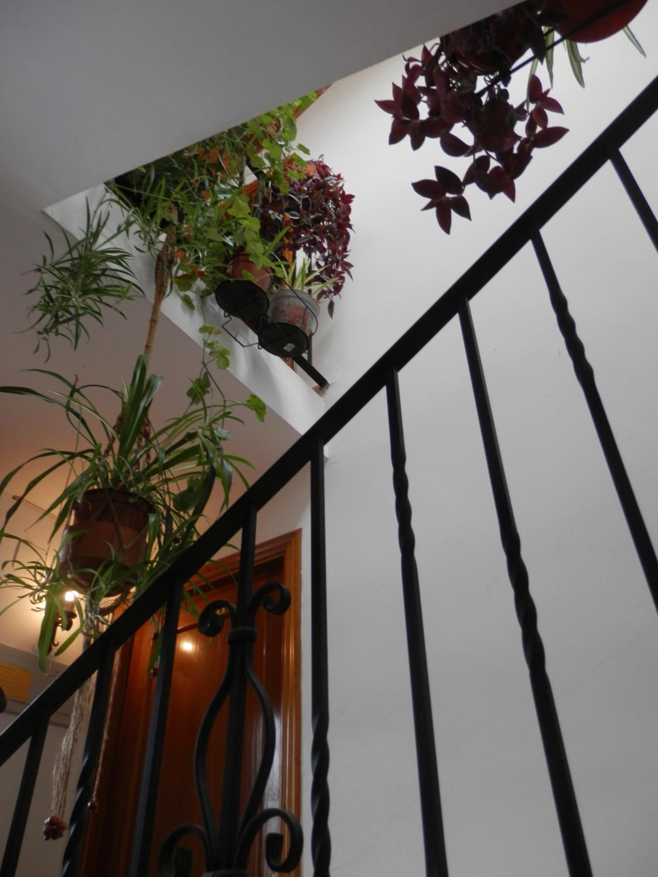 Hostal El Portalico