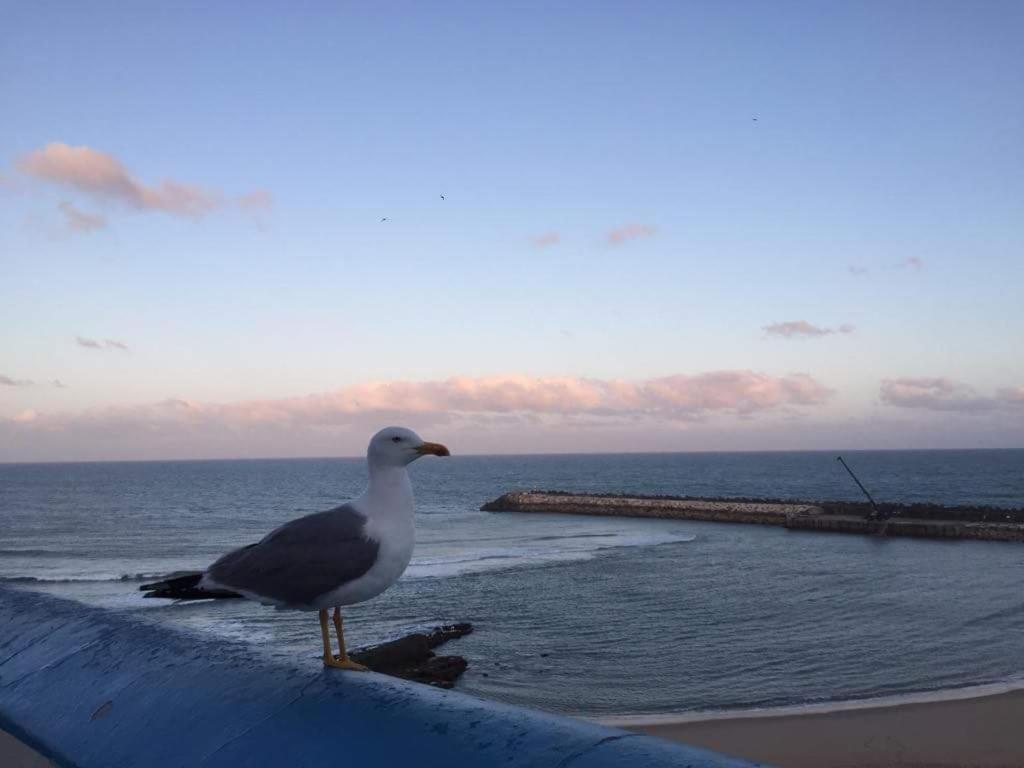 Ericeira Vibes
