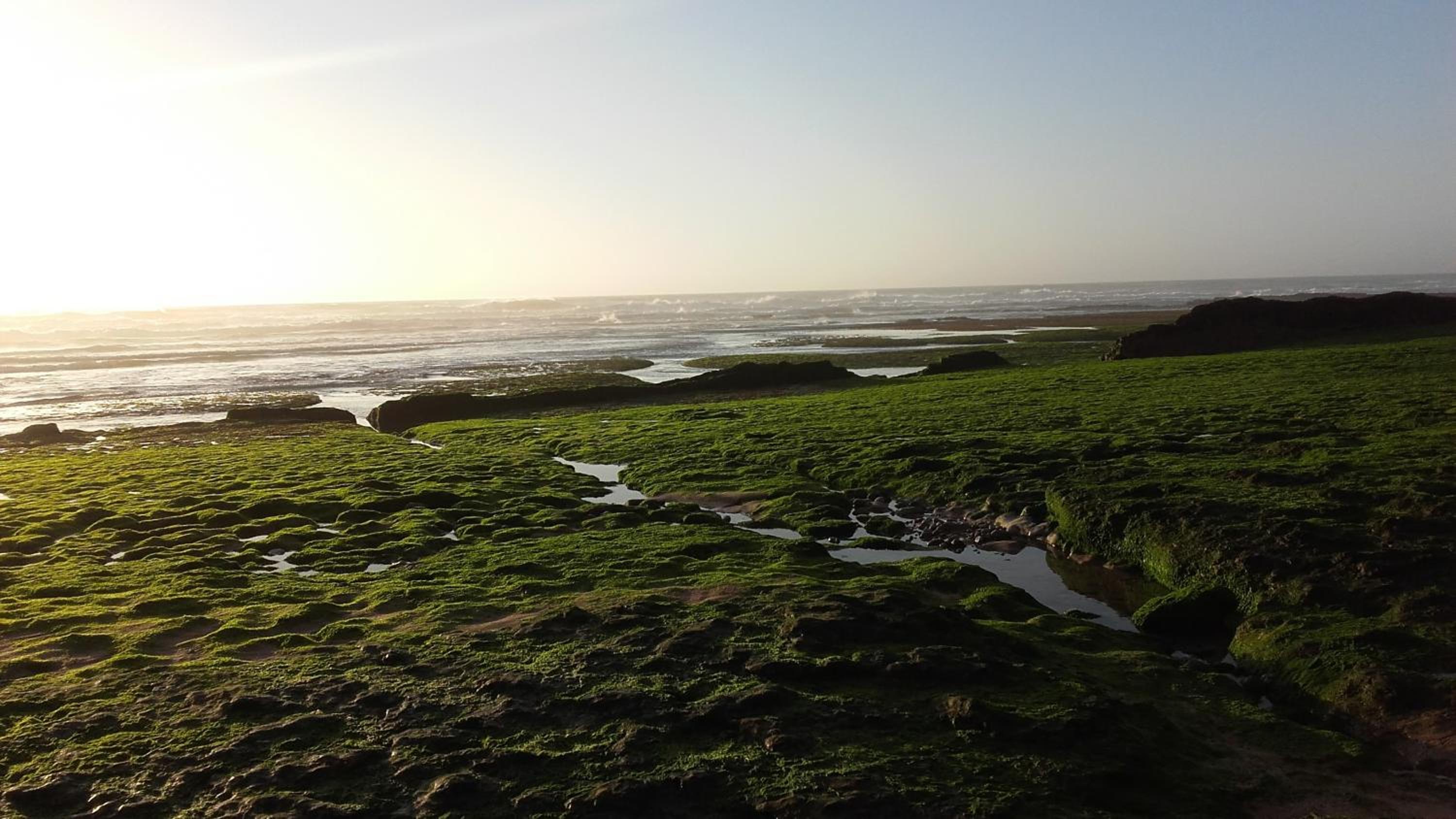 Ericeira Vibes
