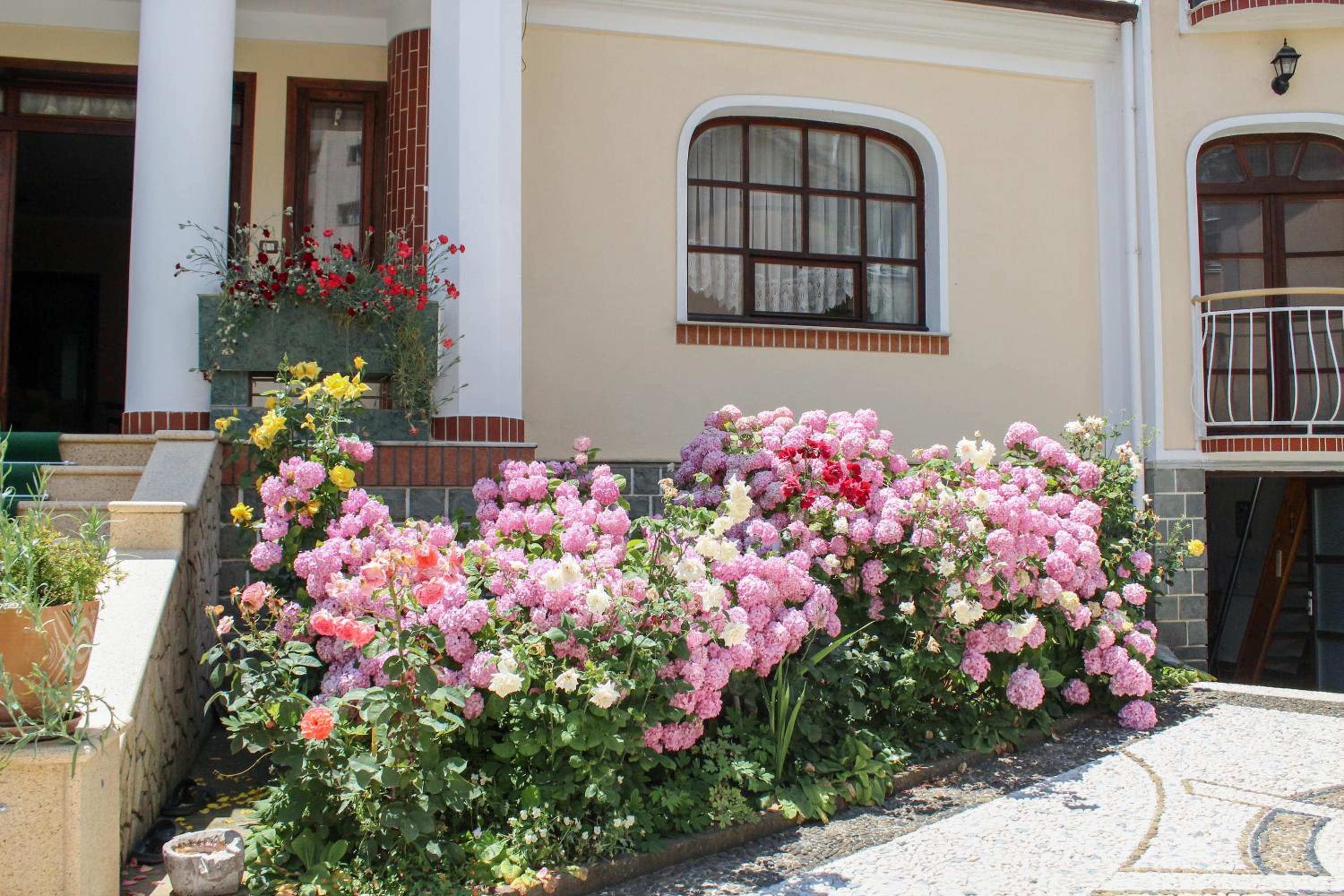 Vila Topciu