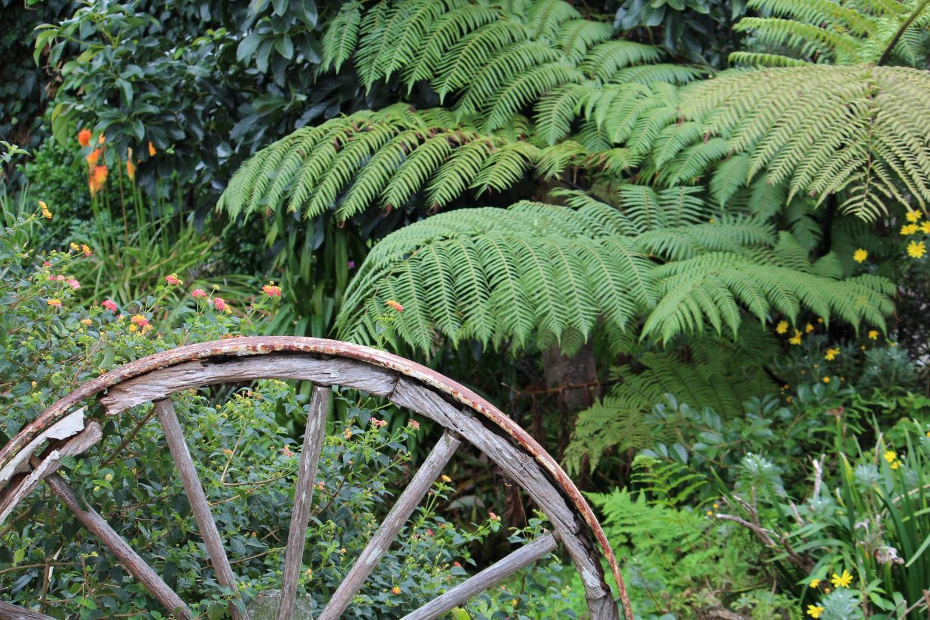 Coromandel Cottages