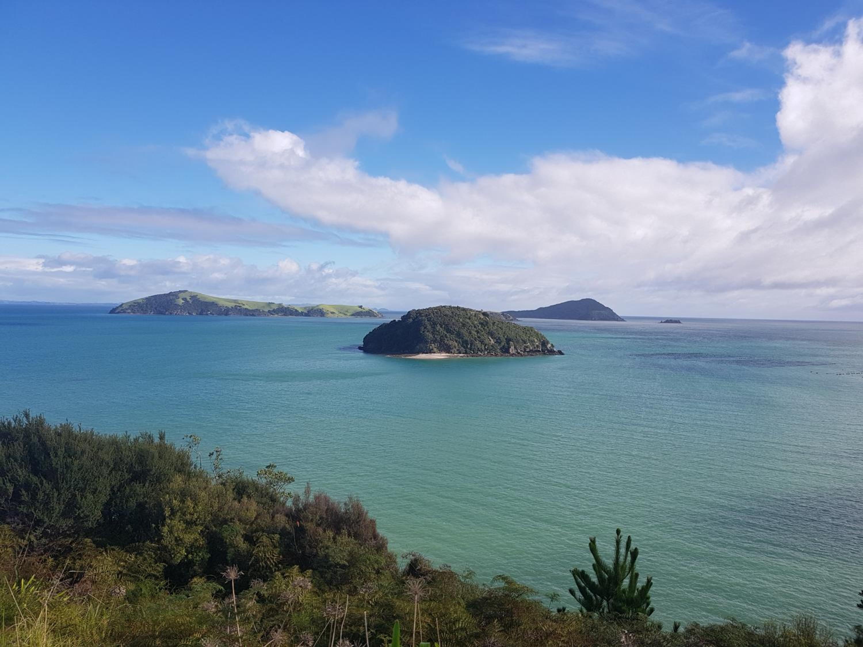 Coromandel Cottages
