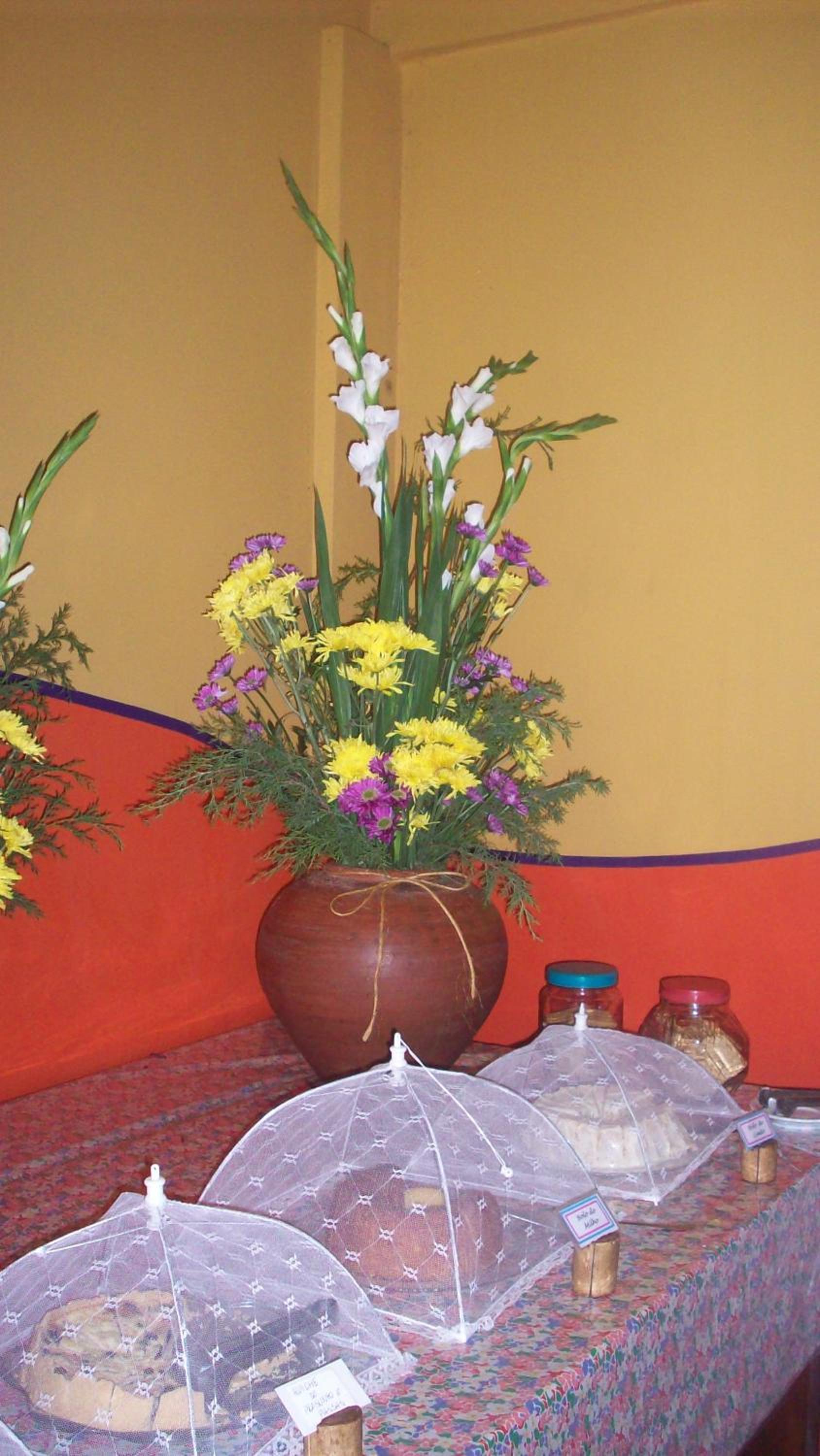 Photo 21