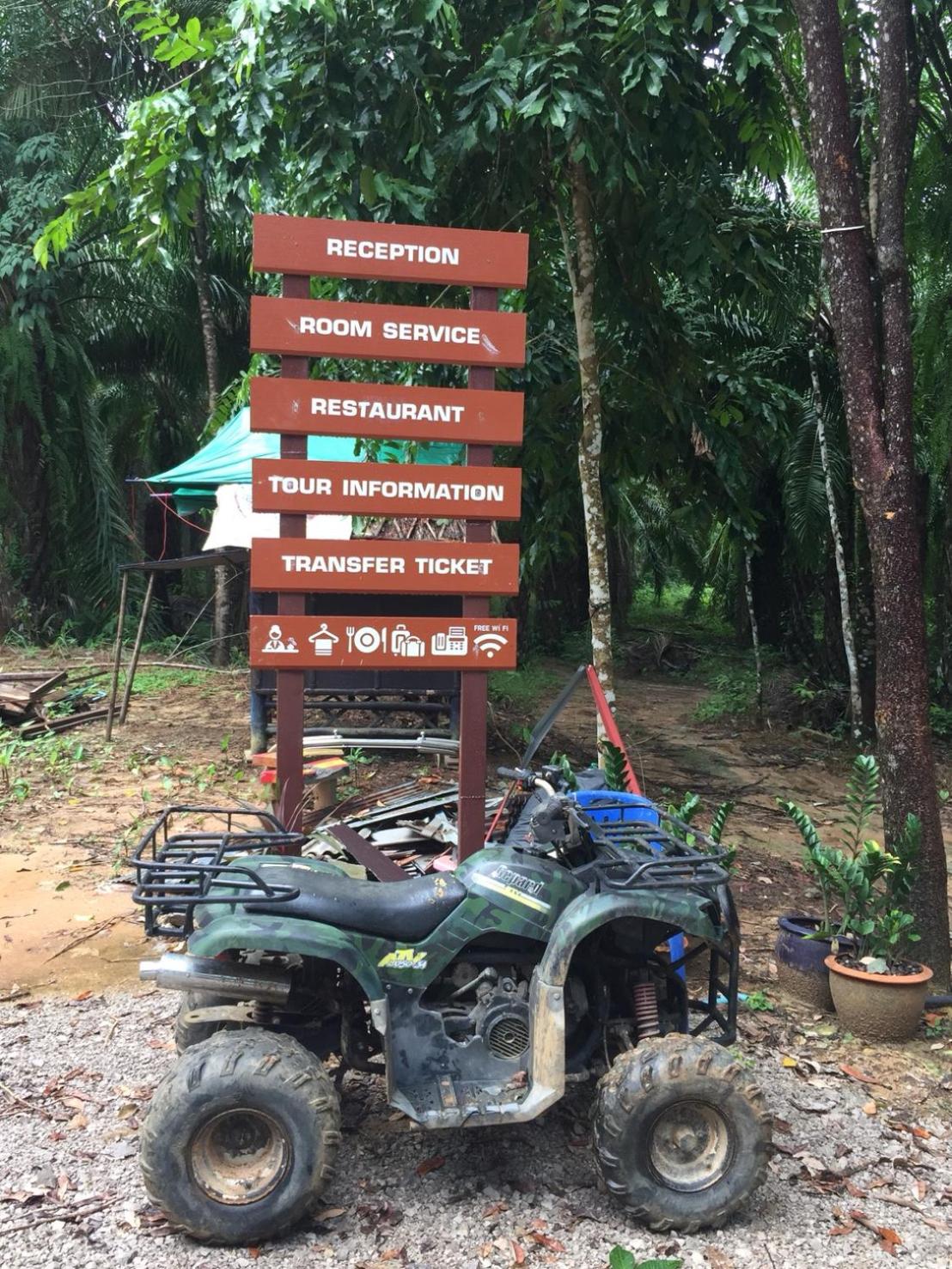 Khao Sok Evergreen House