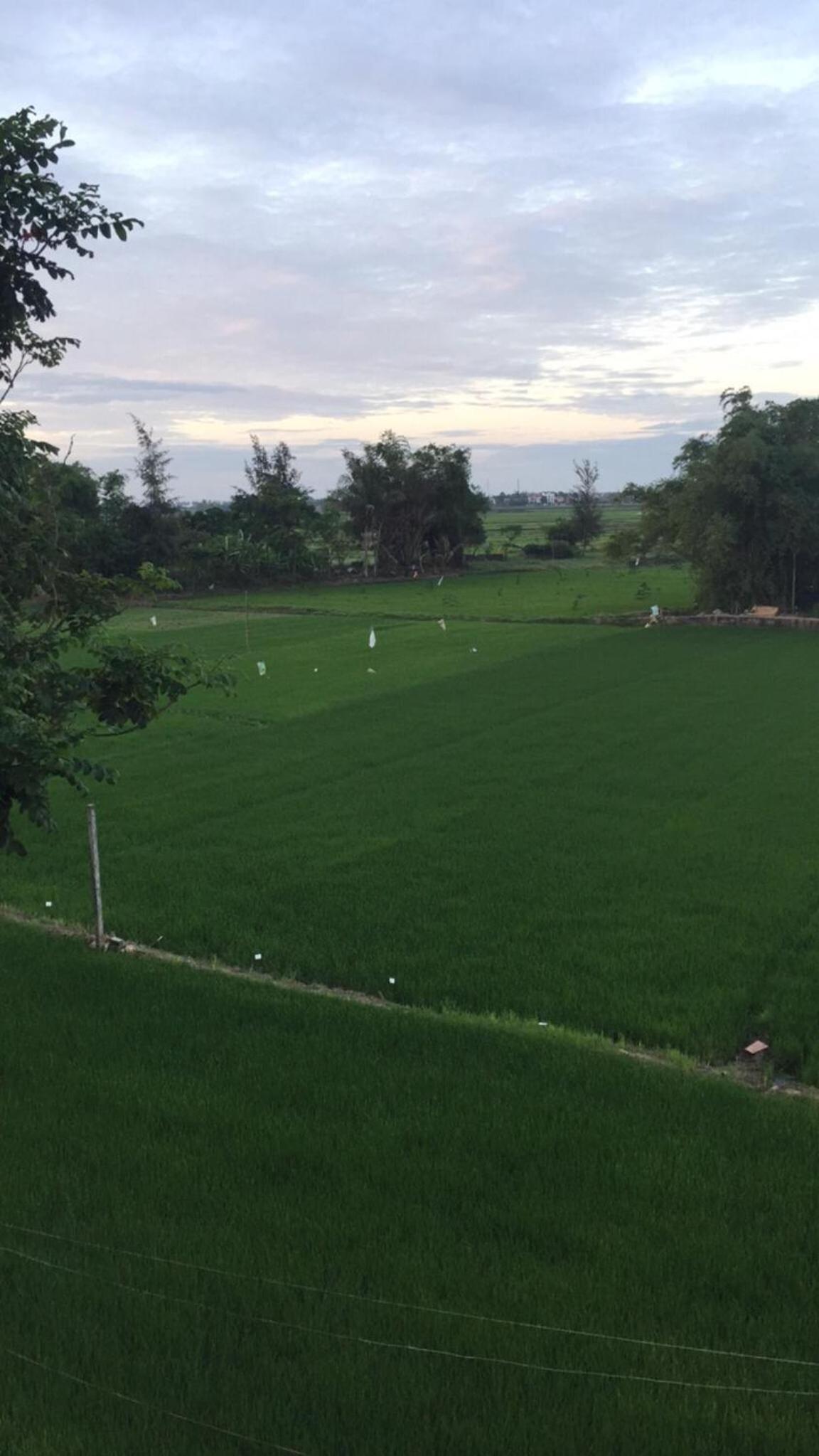 Bi's House Homestay