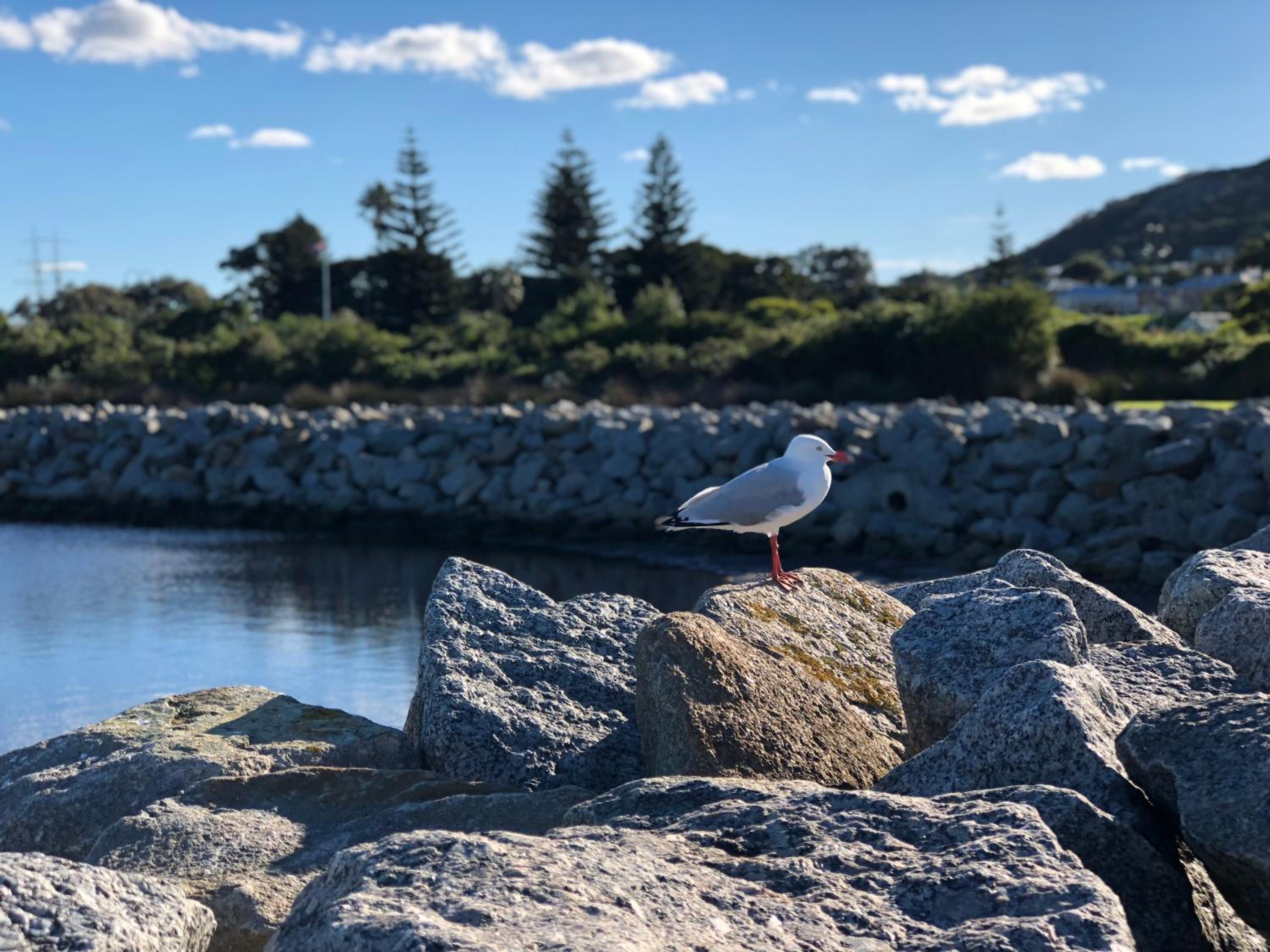 Albany Foreshore Guest House