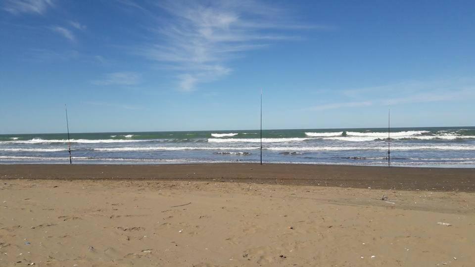Complejo Toninas Norte