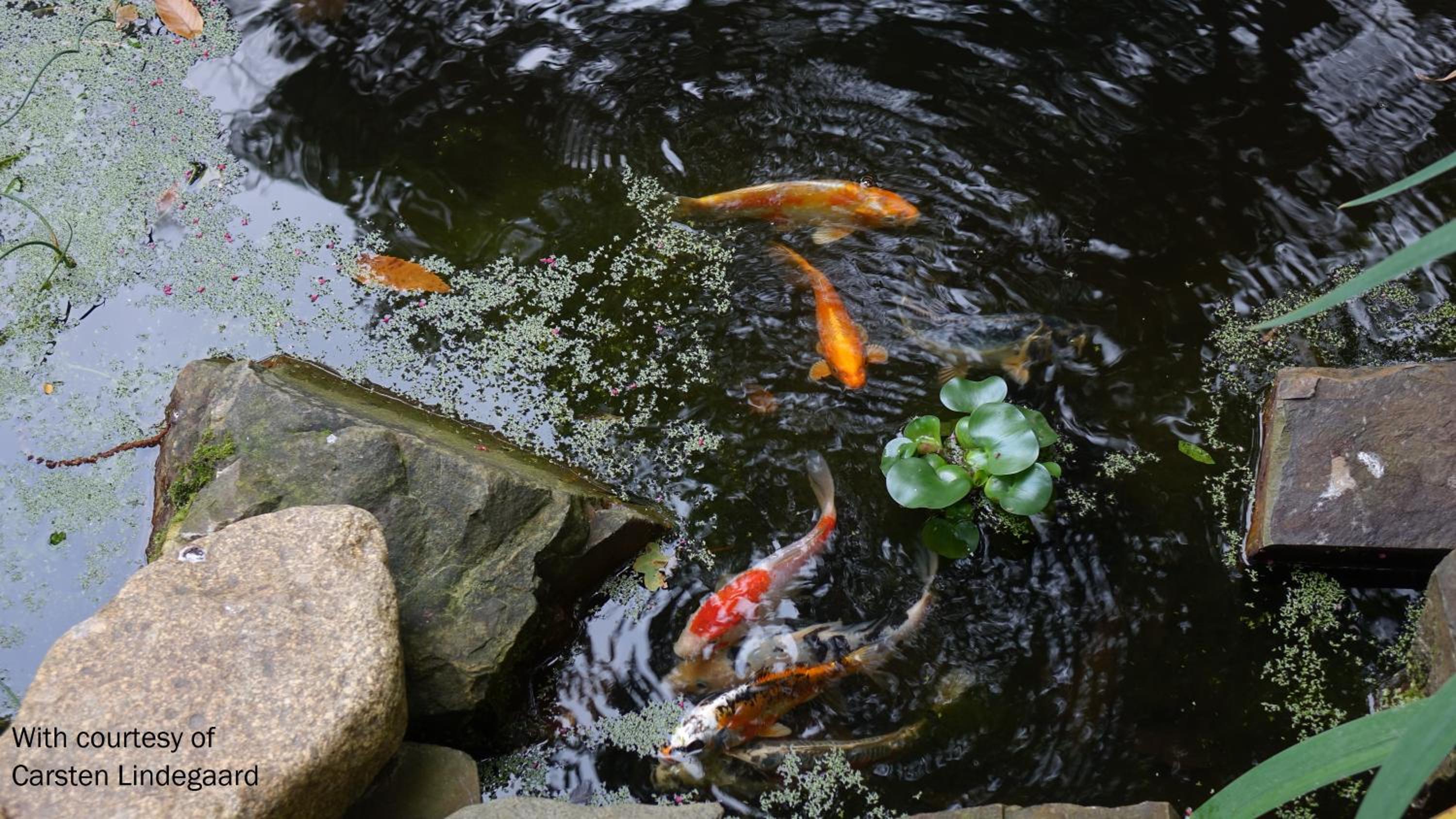 Hotel La Bertichère