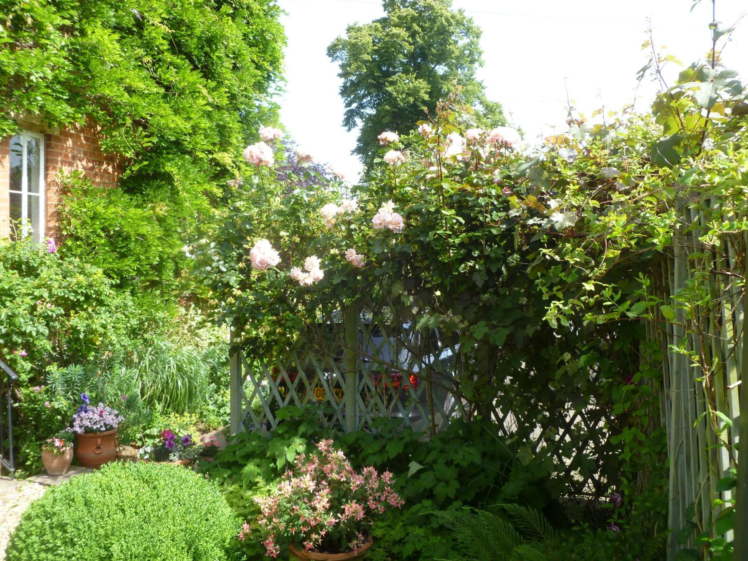 Laurel House