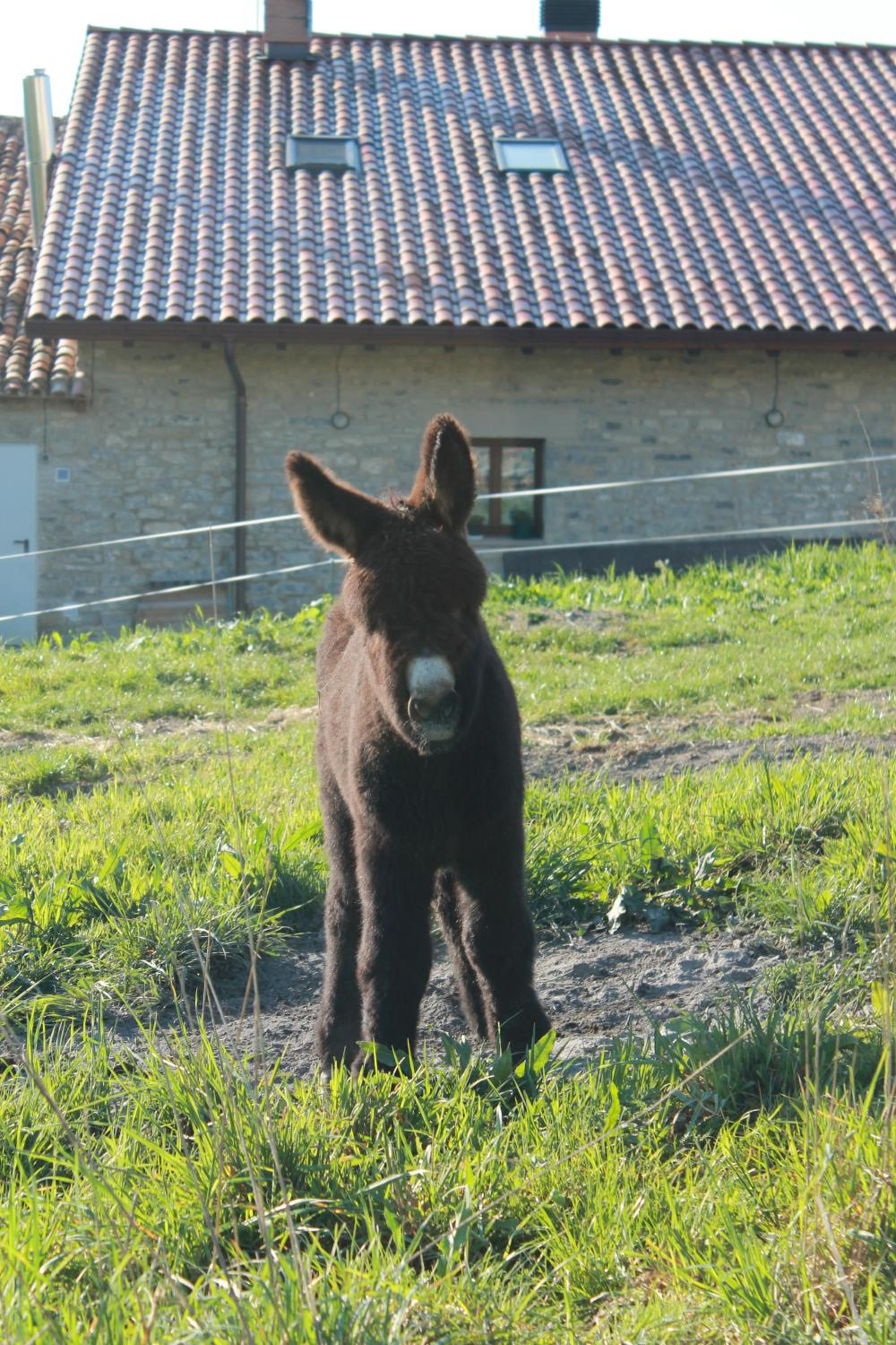 Agroturismo La Casa Vieja