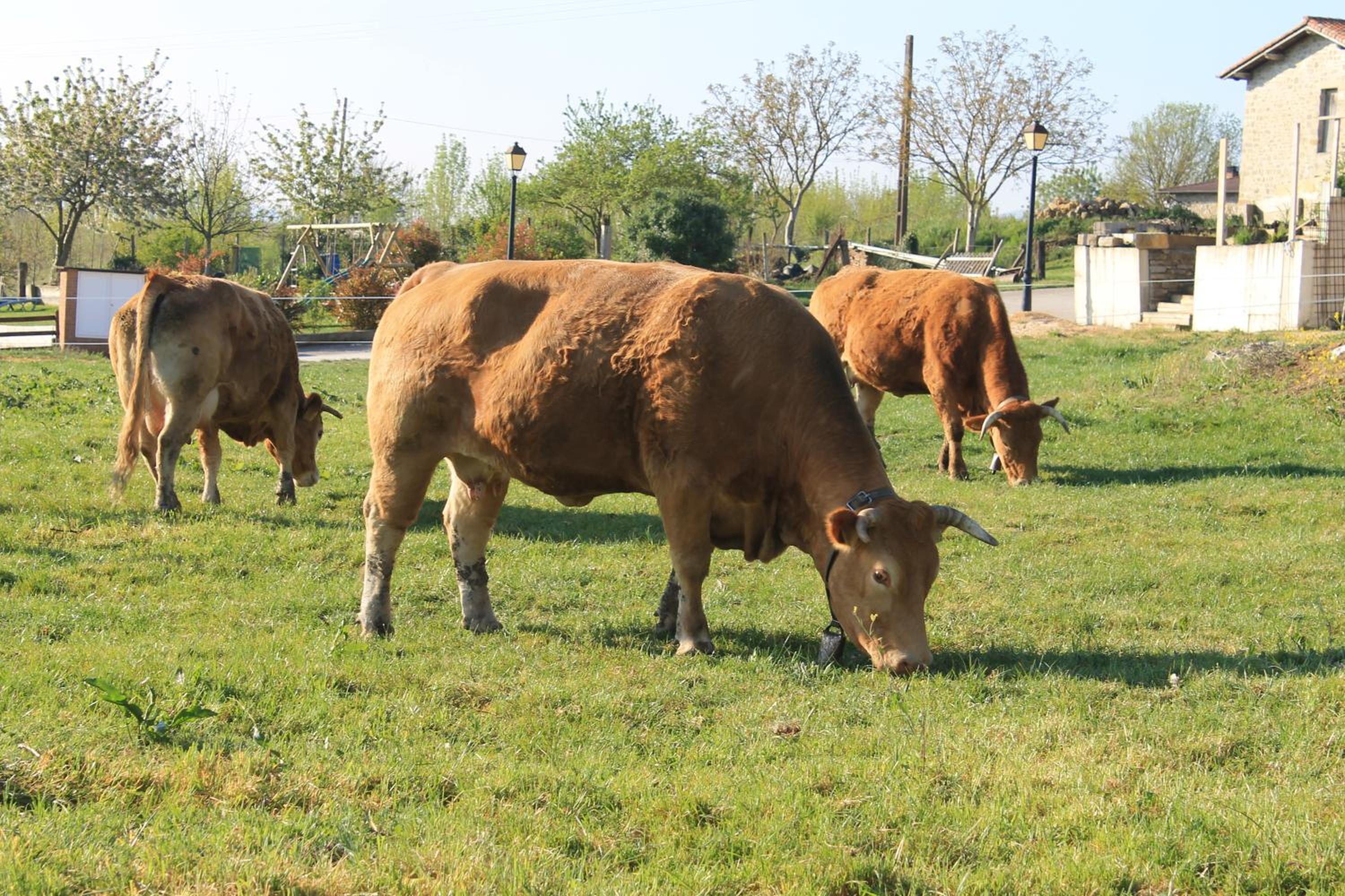 Agroturismo La Casa Vieja
