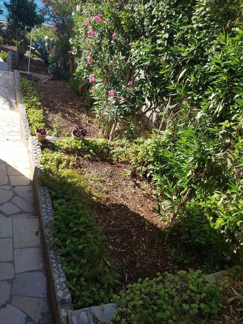Photo 35