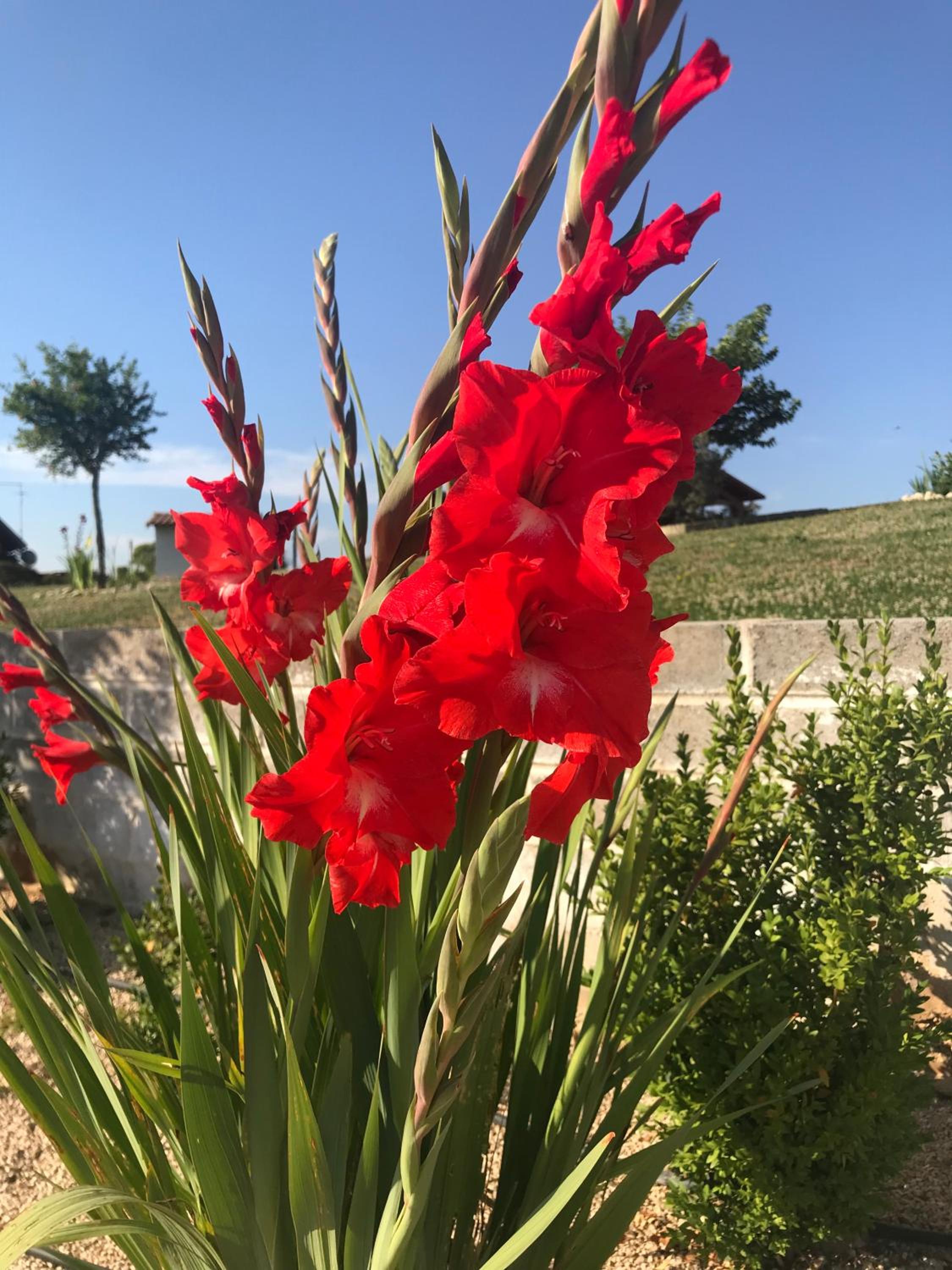 La collina delle fonti