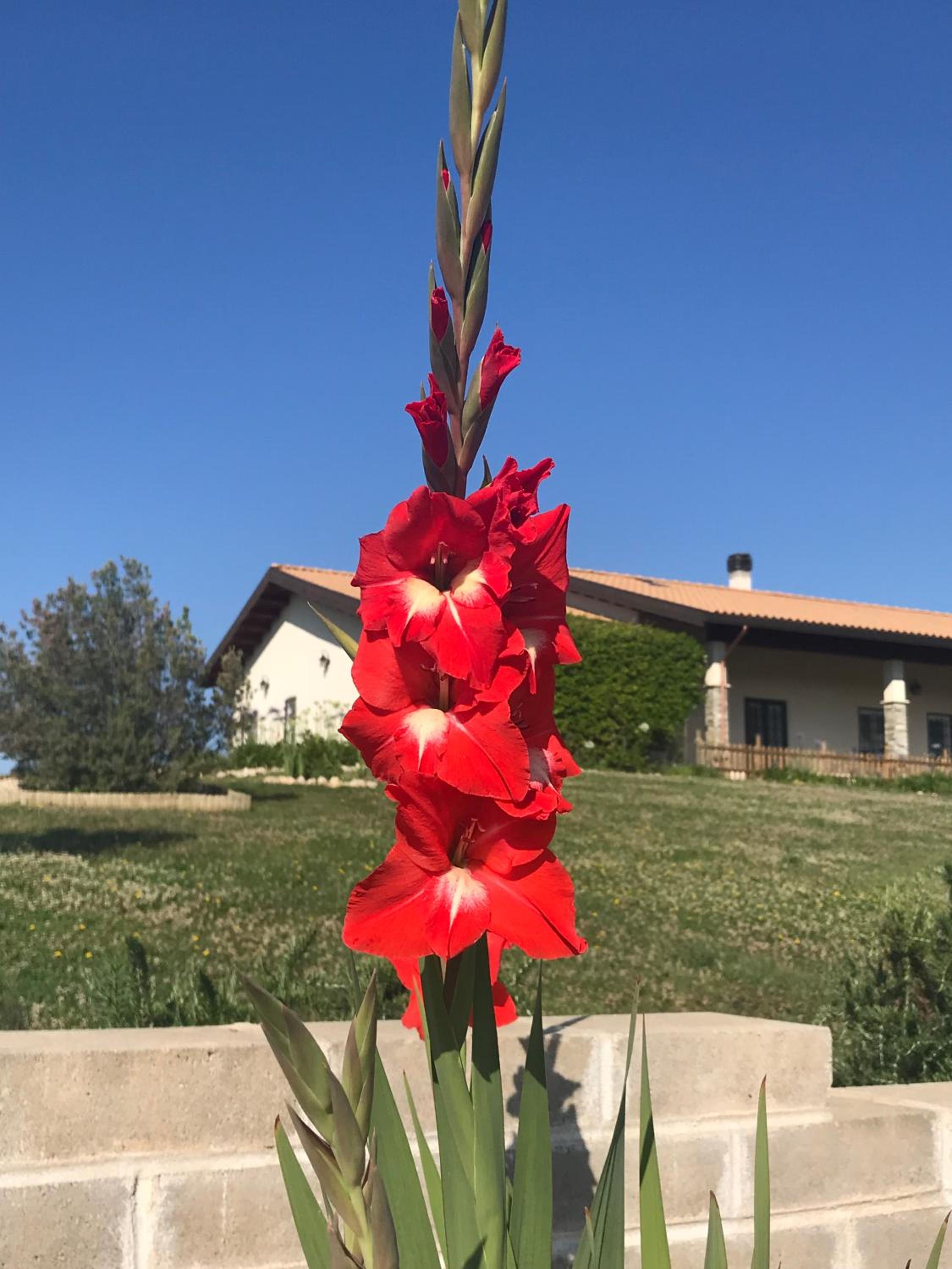 La collina delle fonti