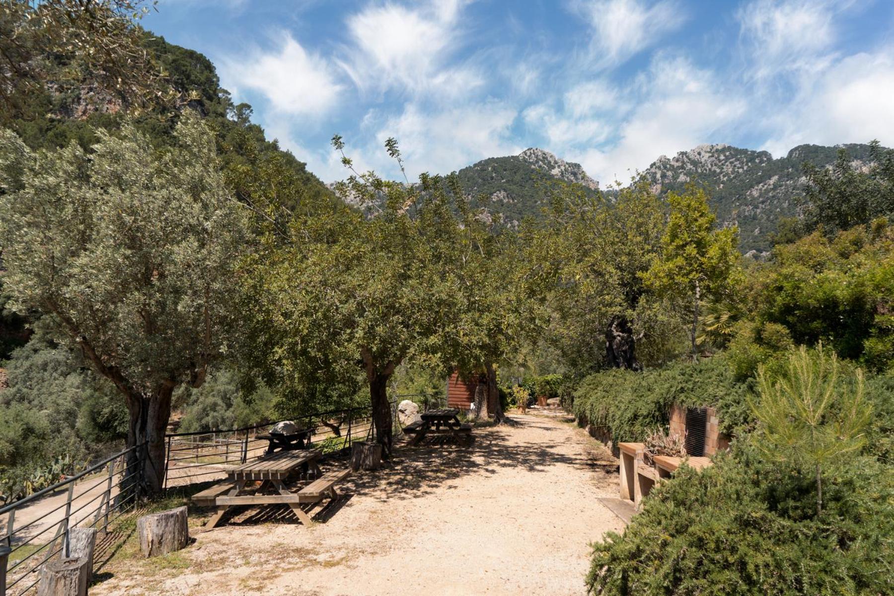 Alfabia Nou Agroturismo