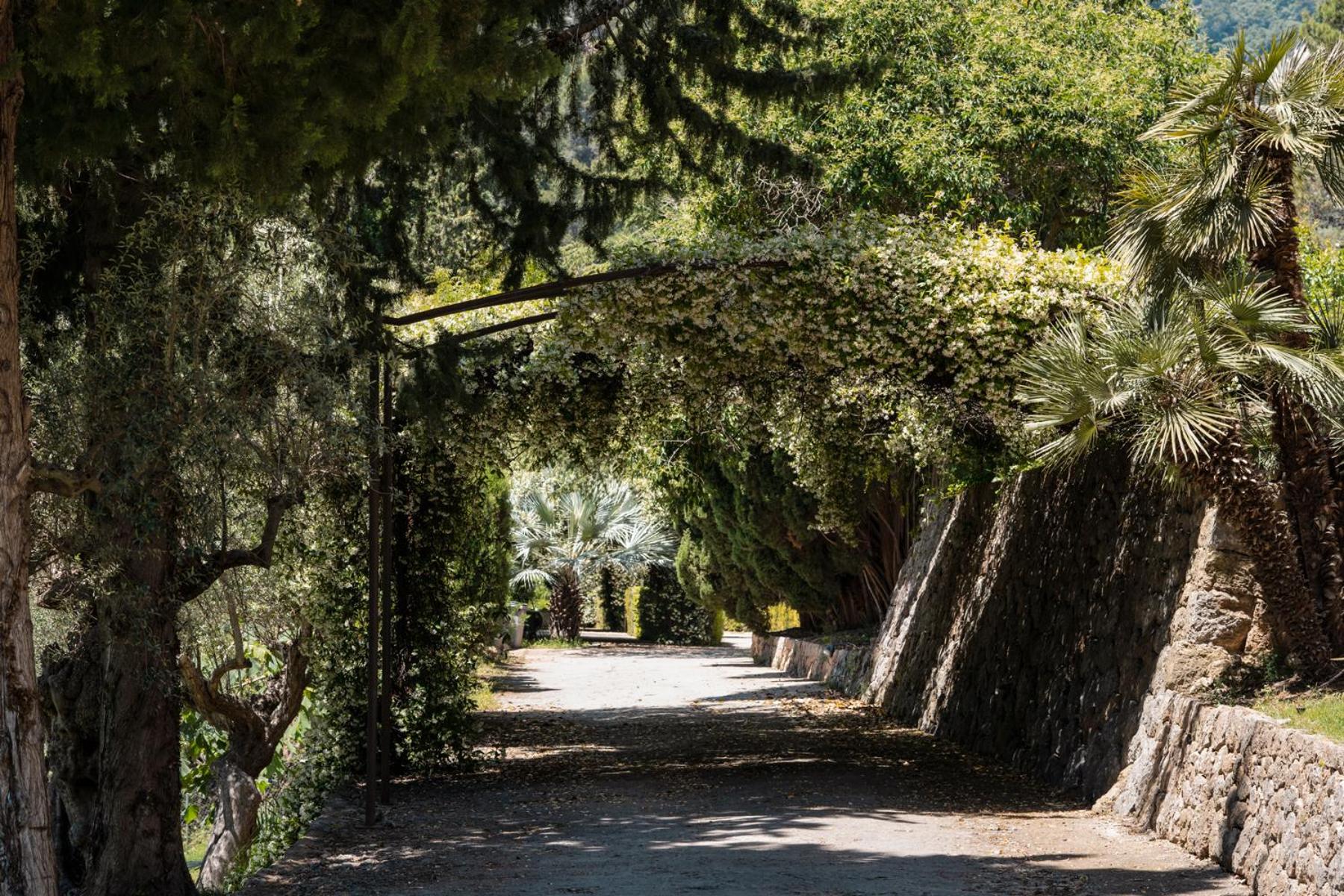 Alfabia Nou Agroturismo