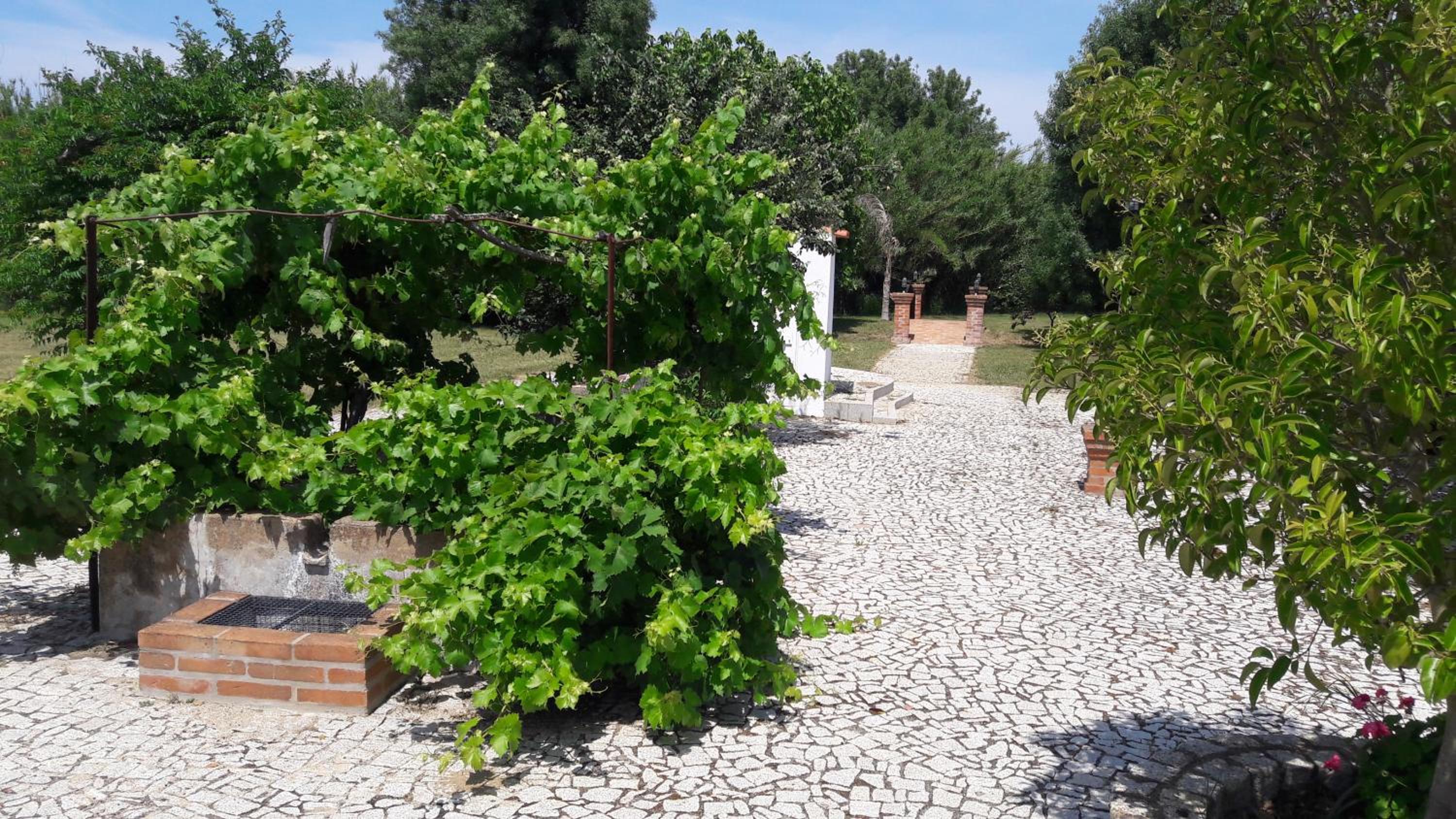 Quinta da Abrunheira