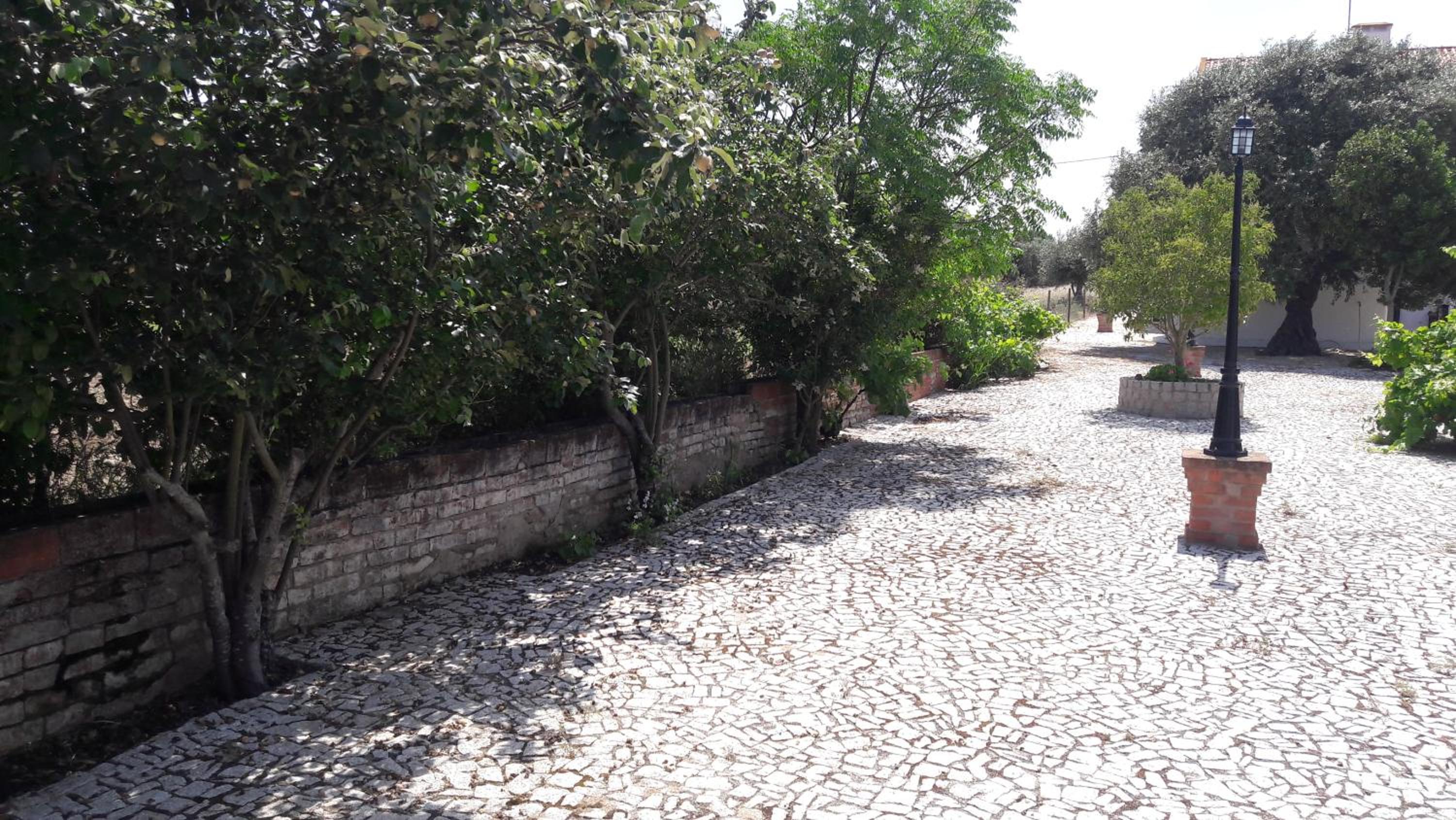 Quinta da Abrunheira